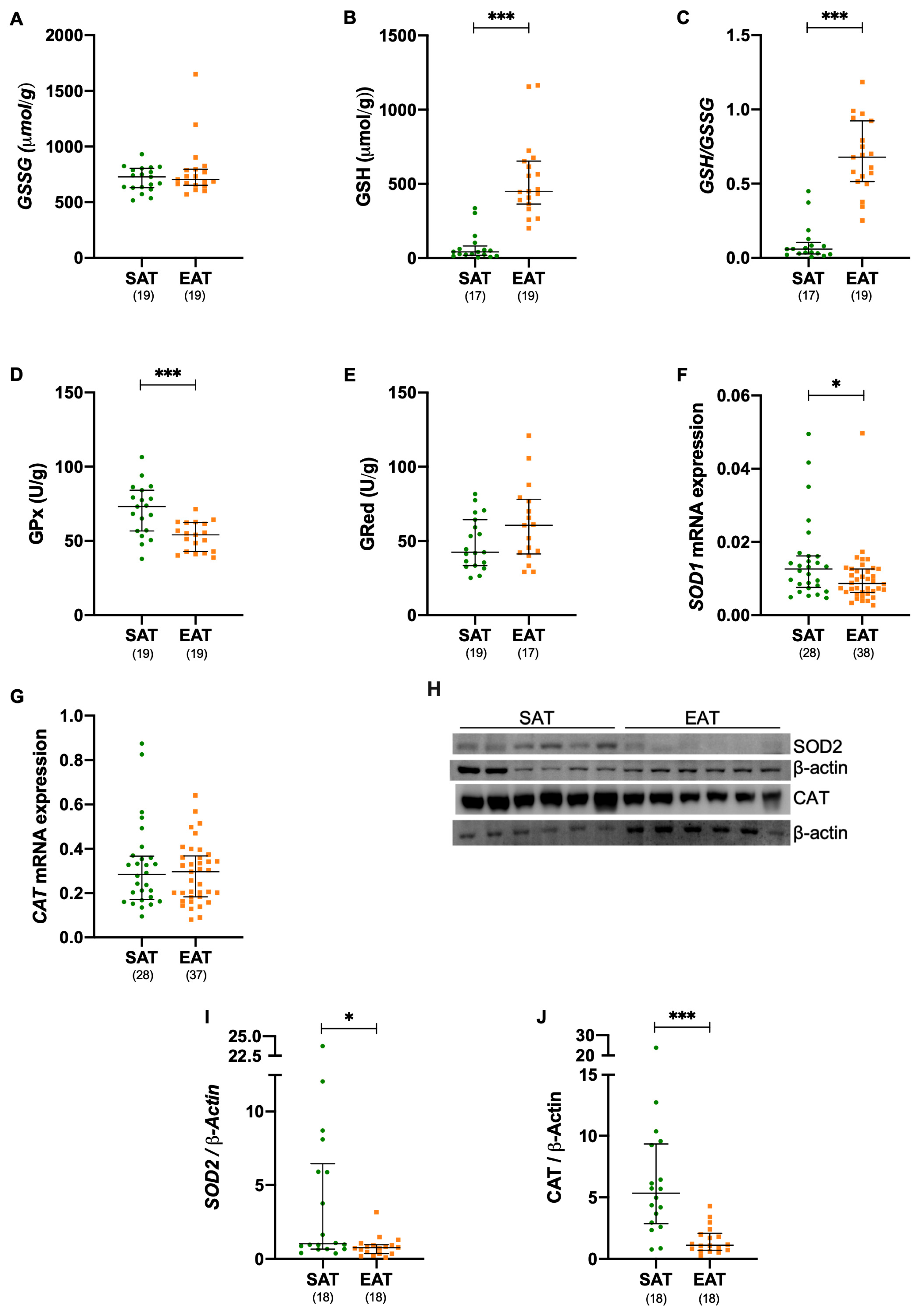 Metabolites 15 00481 g003