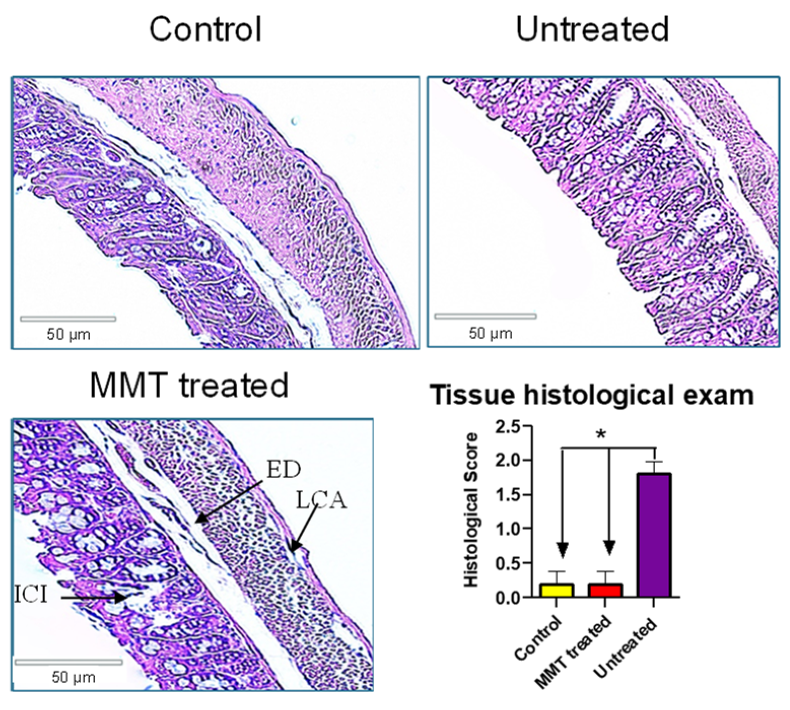 Metabolites 15 00483 g003