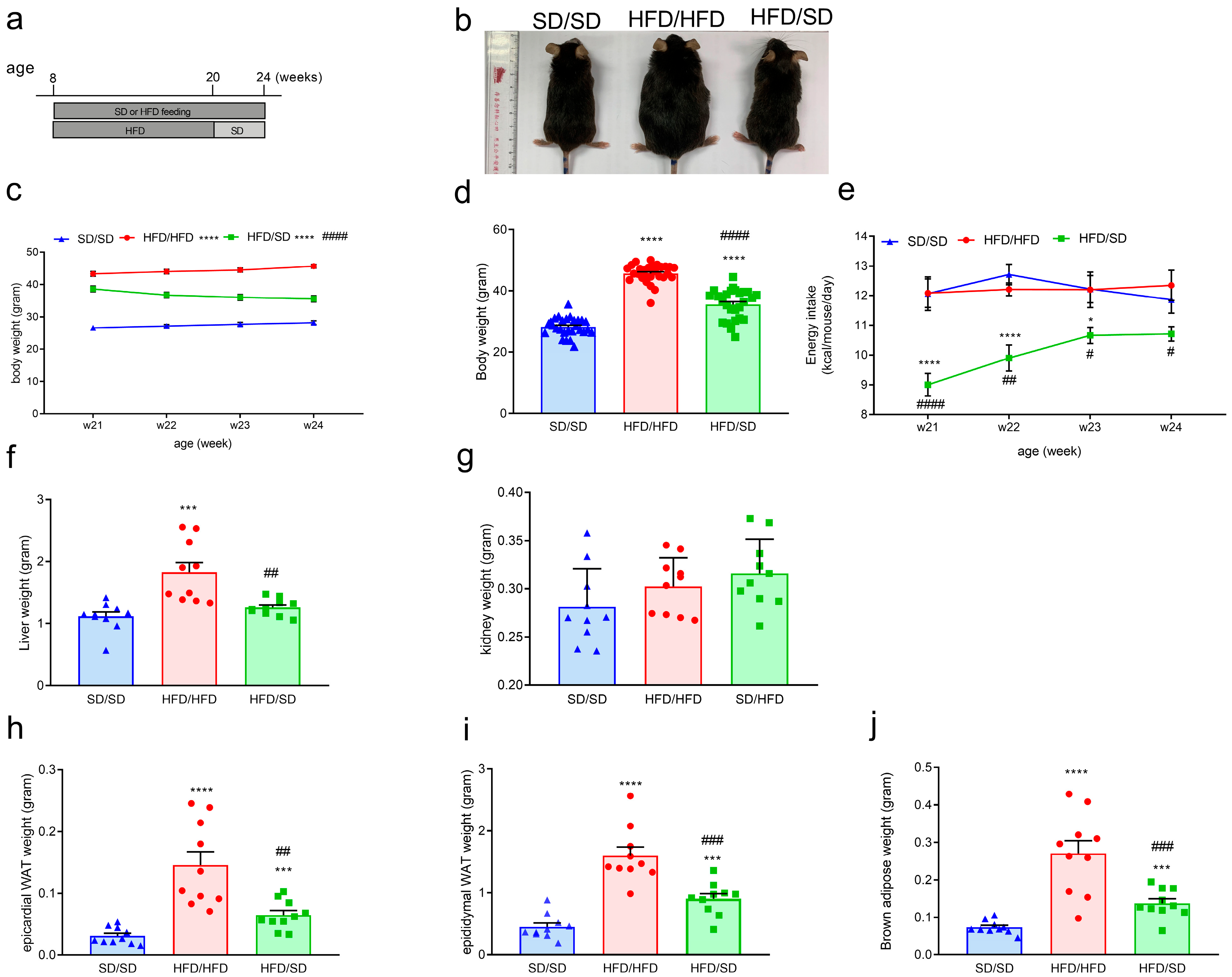Metabolites 15 00485 g001
