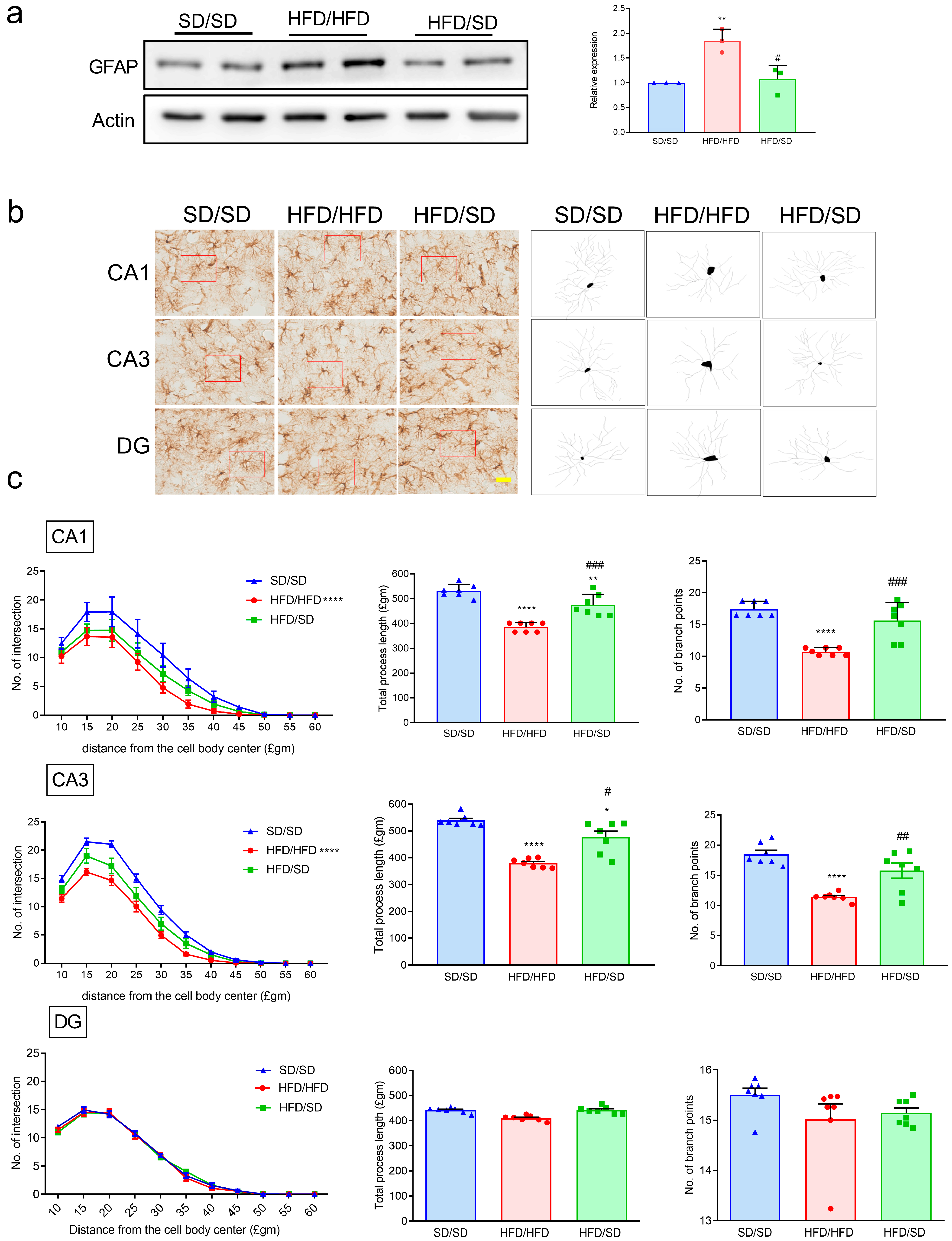 Metabolites 15 00485 g004