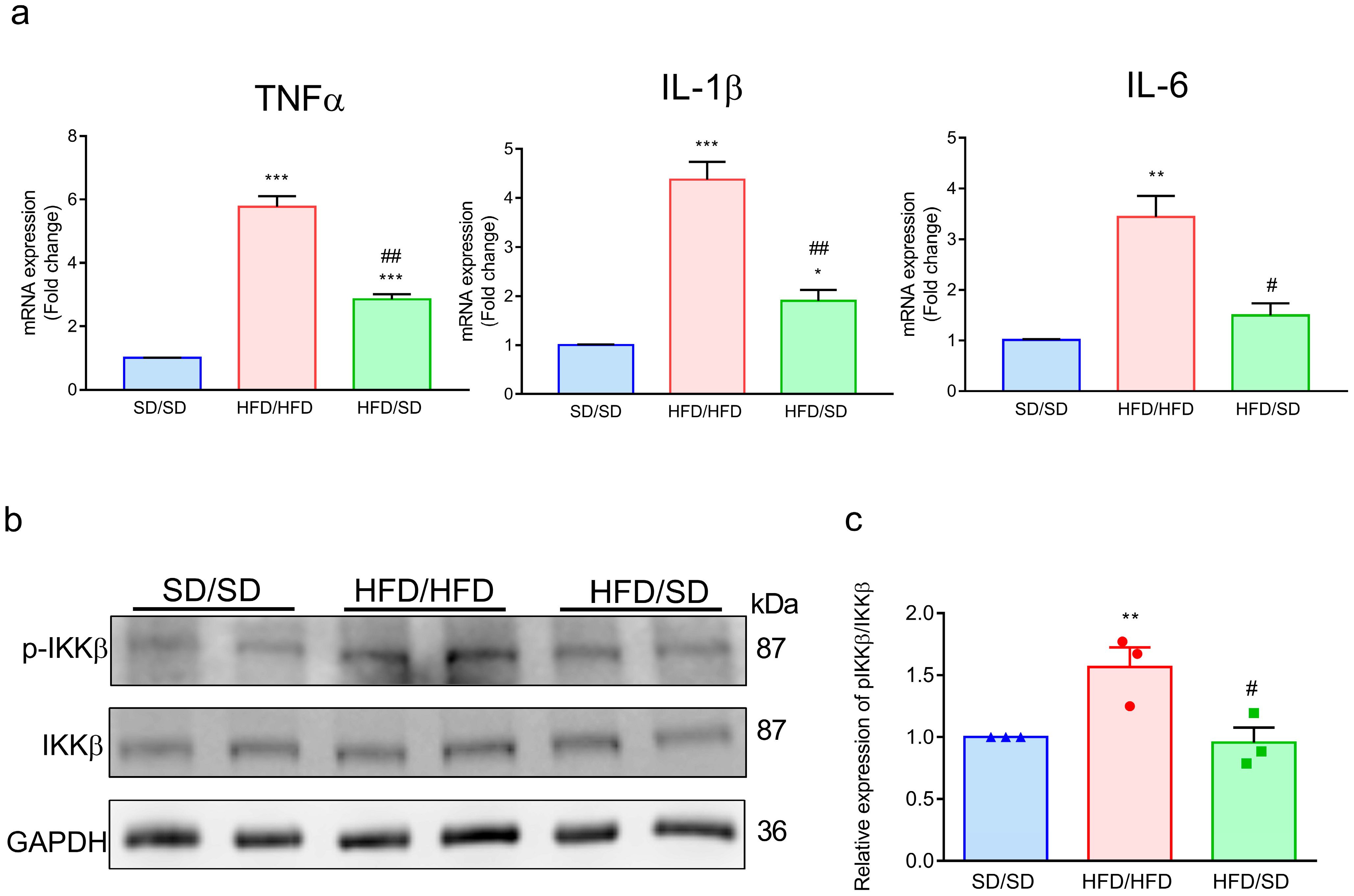 Metabolites 15 00485 g006