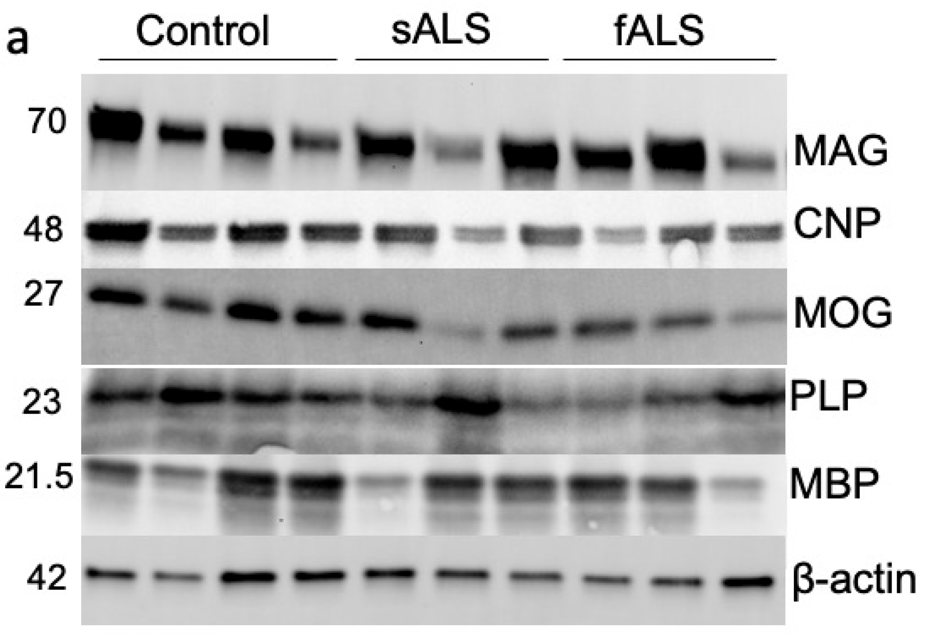 Metabolites 15 00486 i001