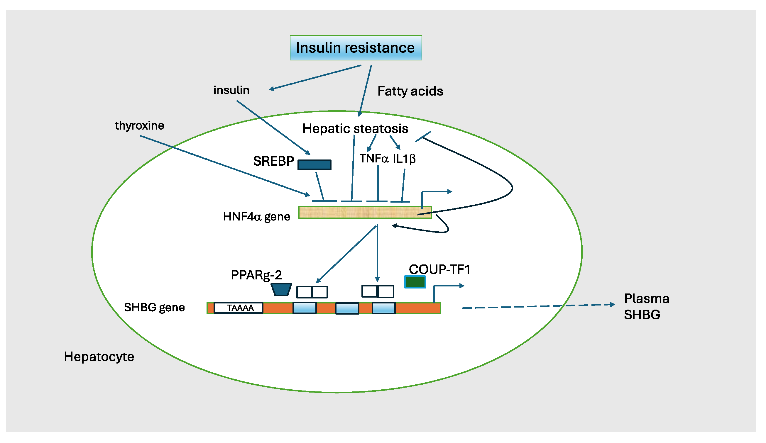 Metabolites 15 00494 g004 Metabolites 15 00494 g004
