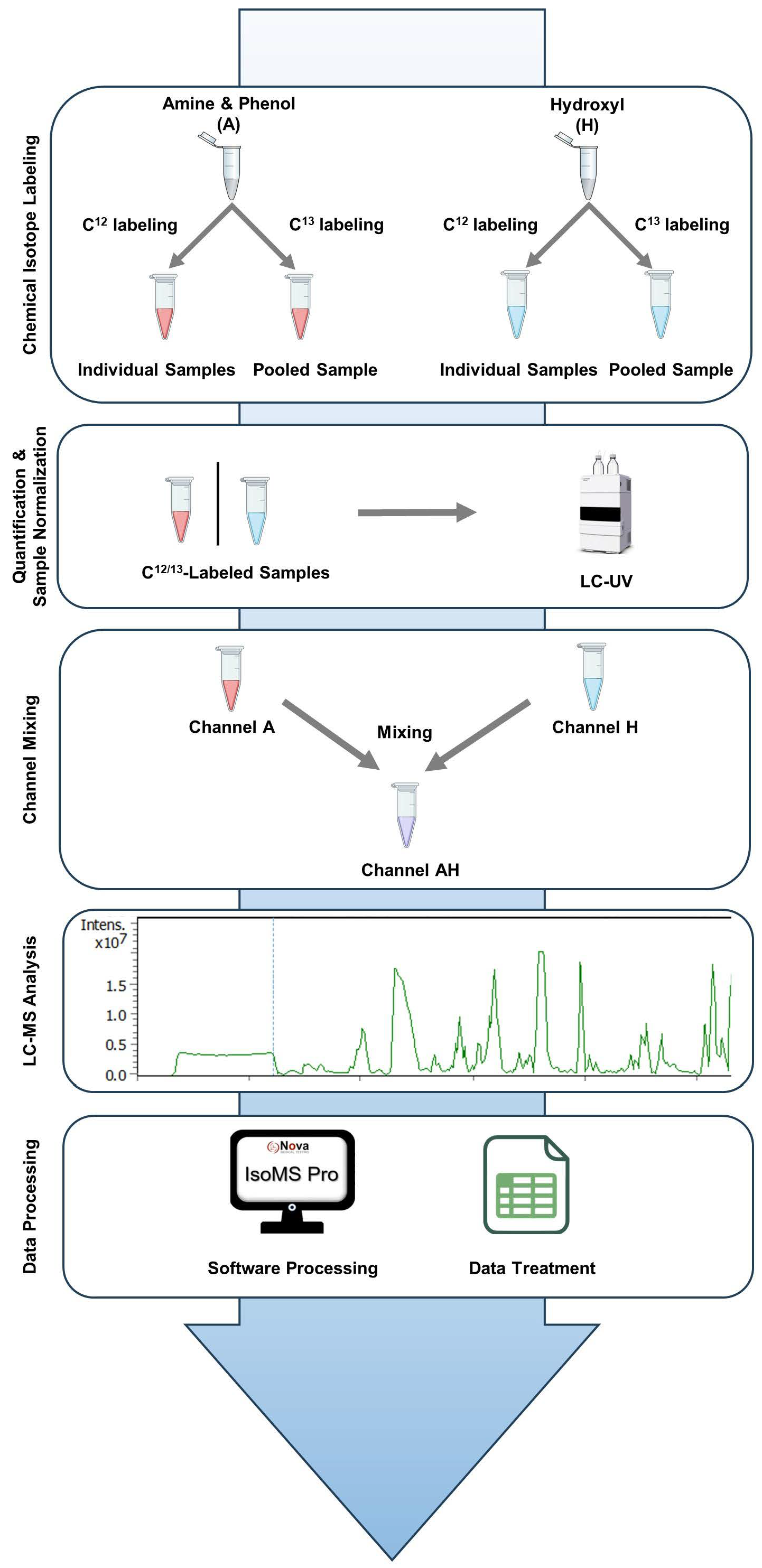 Metabolites 15 00496 g001