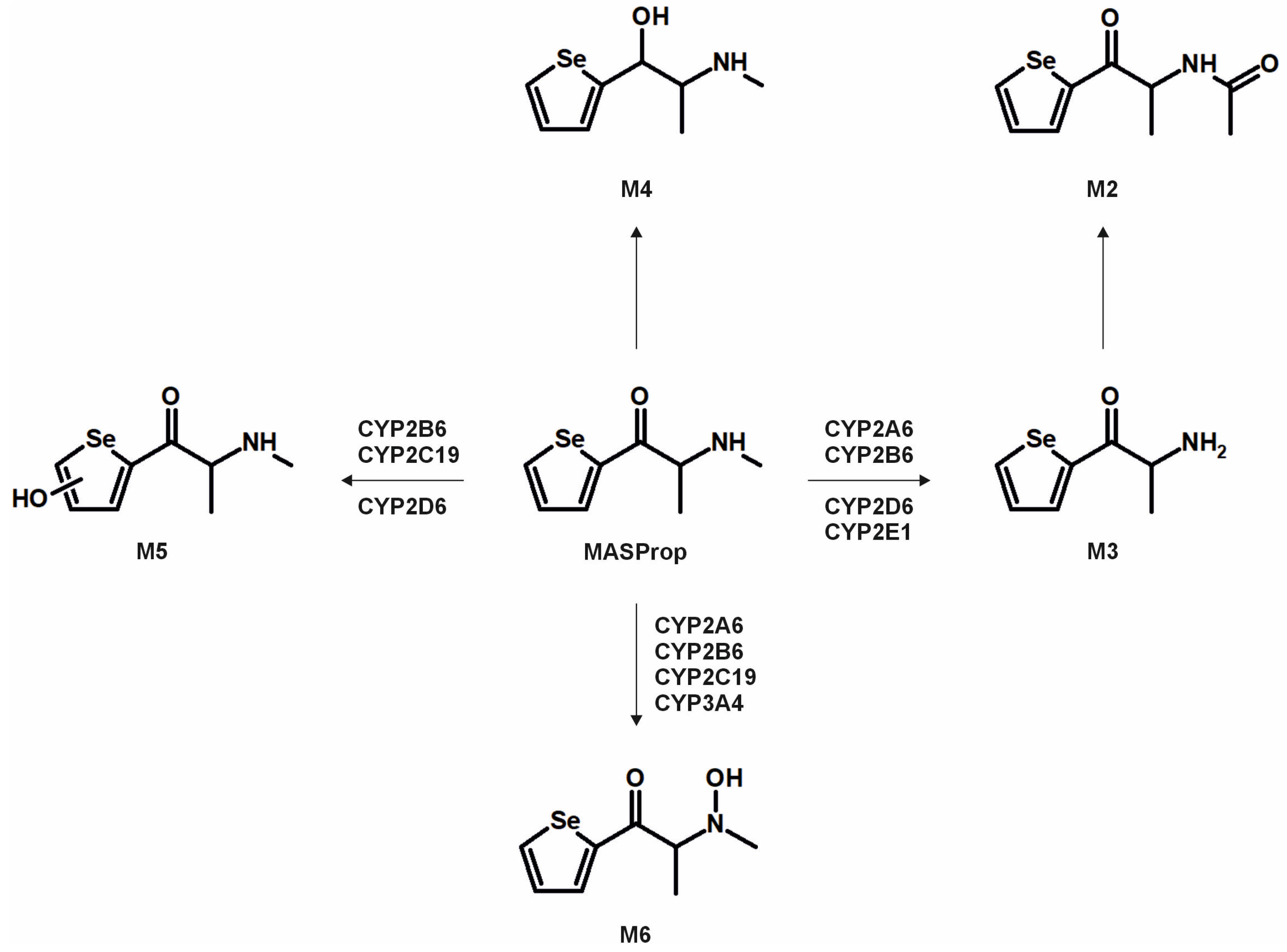 Metabolites 15 00497 g004