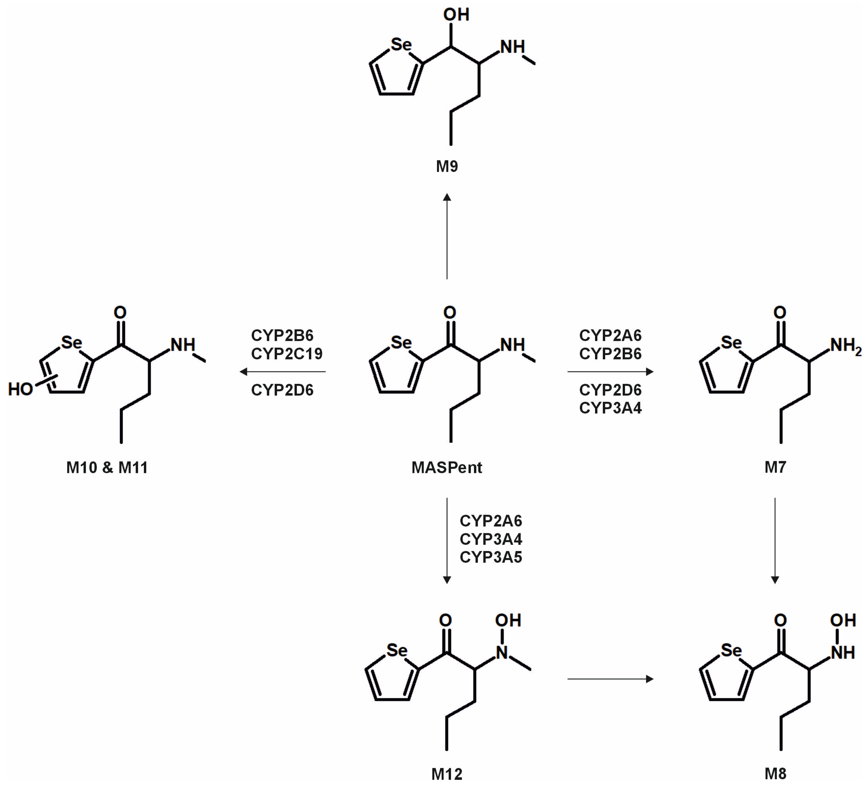 Metabolites 15 00497 g005