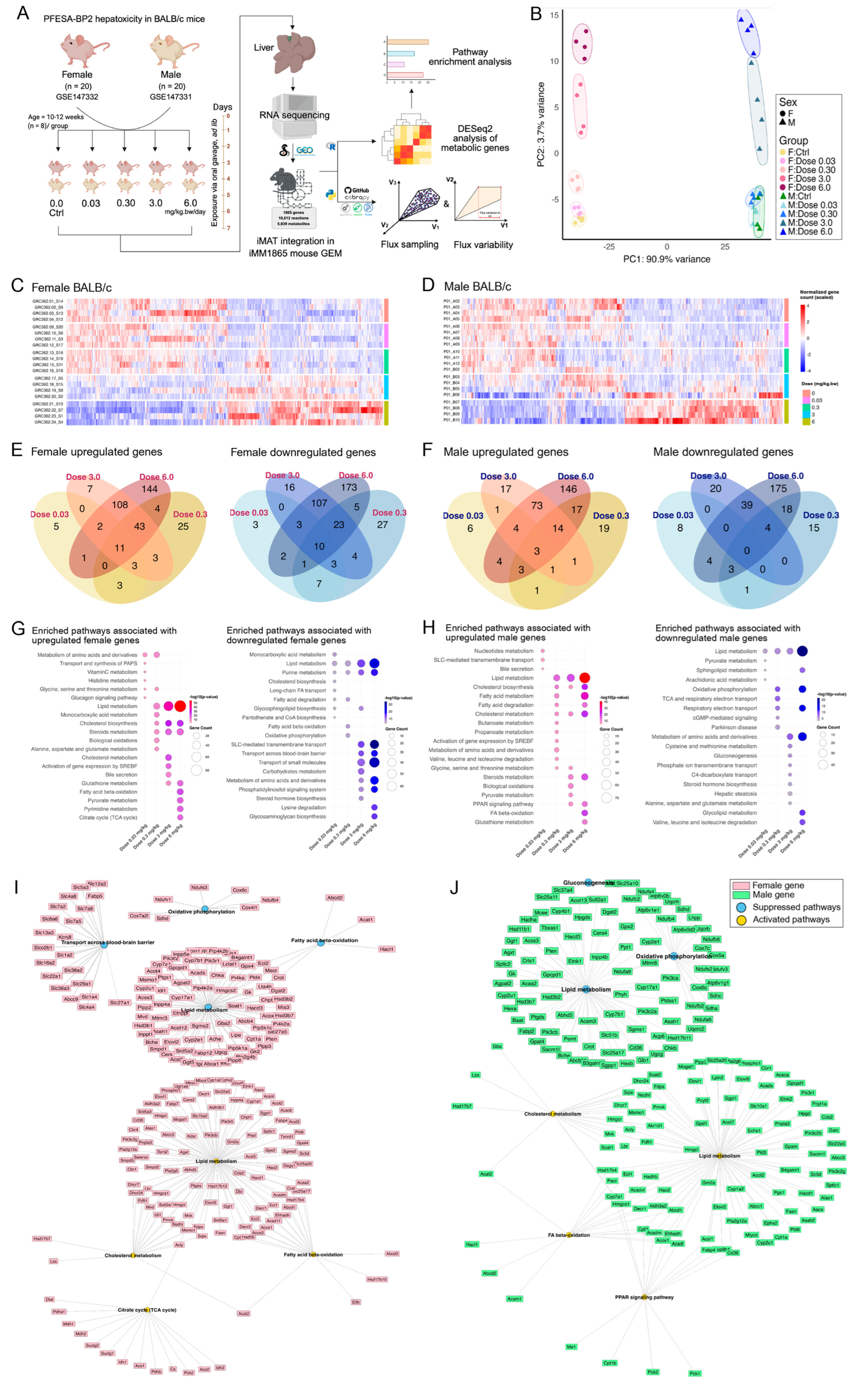 Metabolites 15 00499 g001