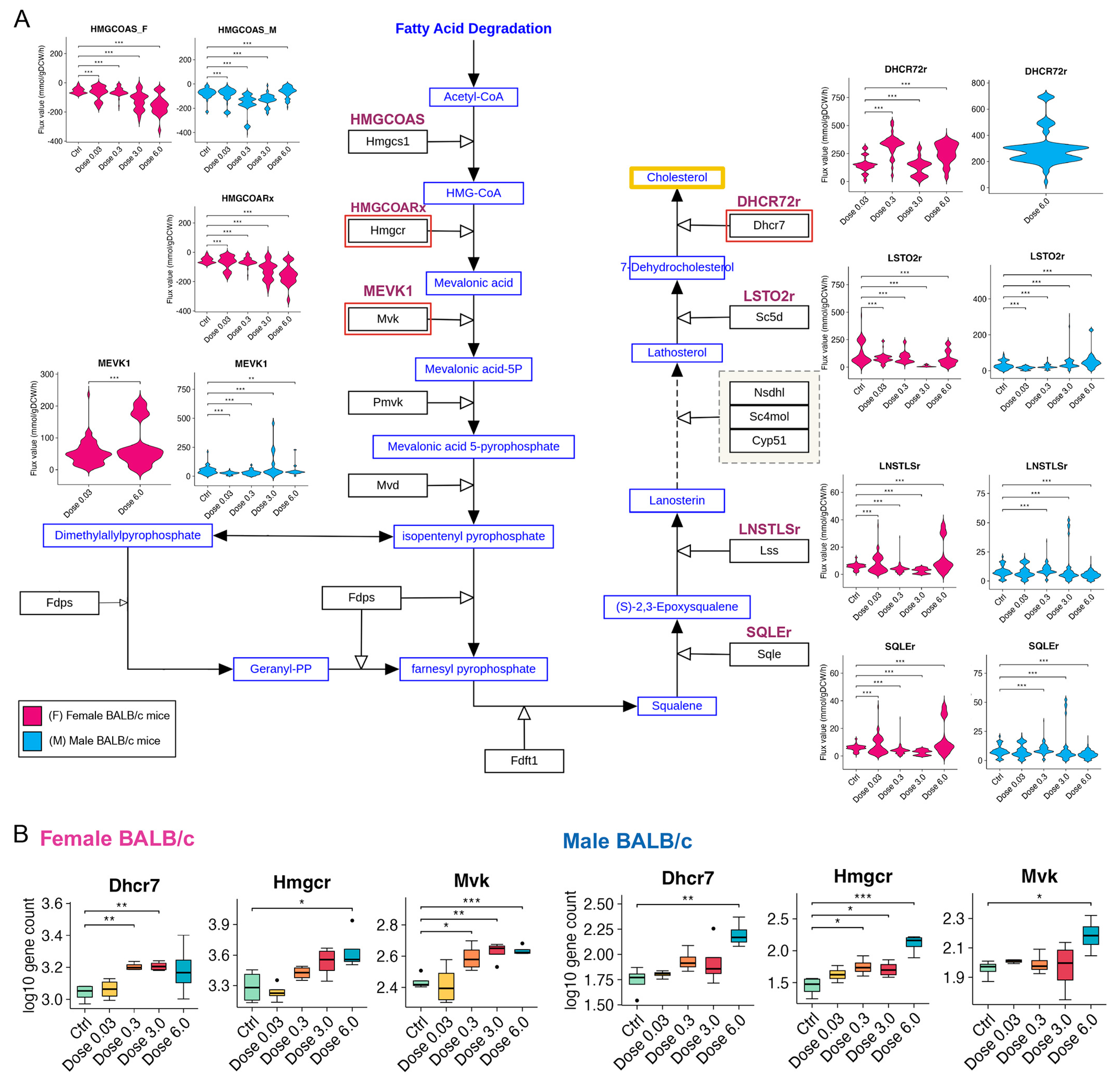 Metabolites 15 00499 g004