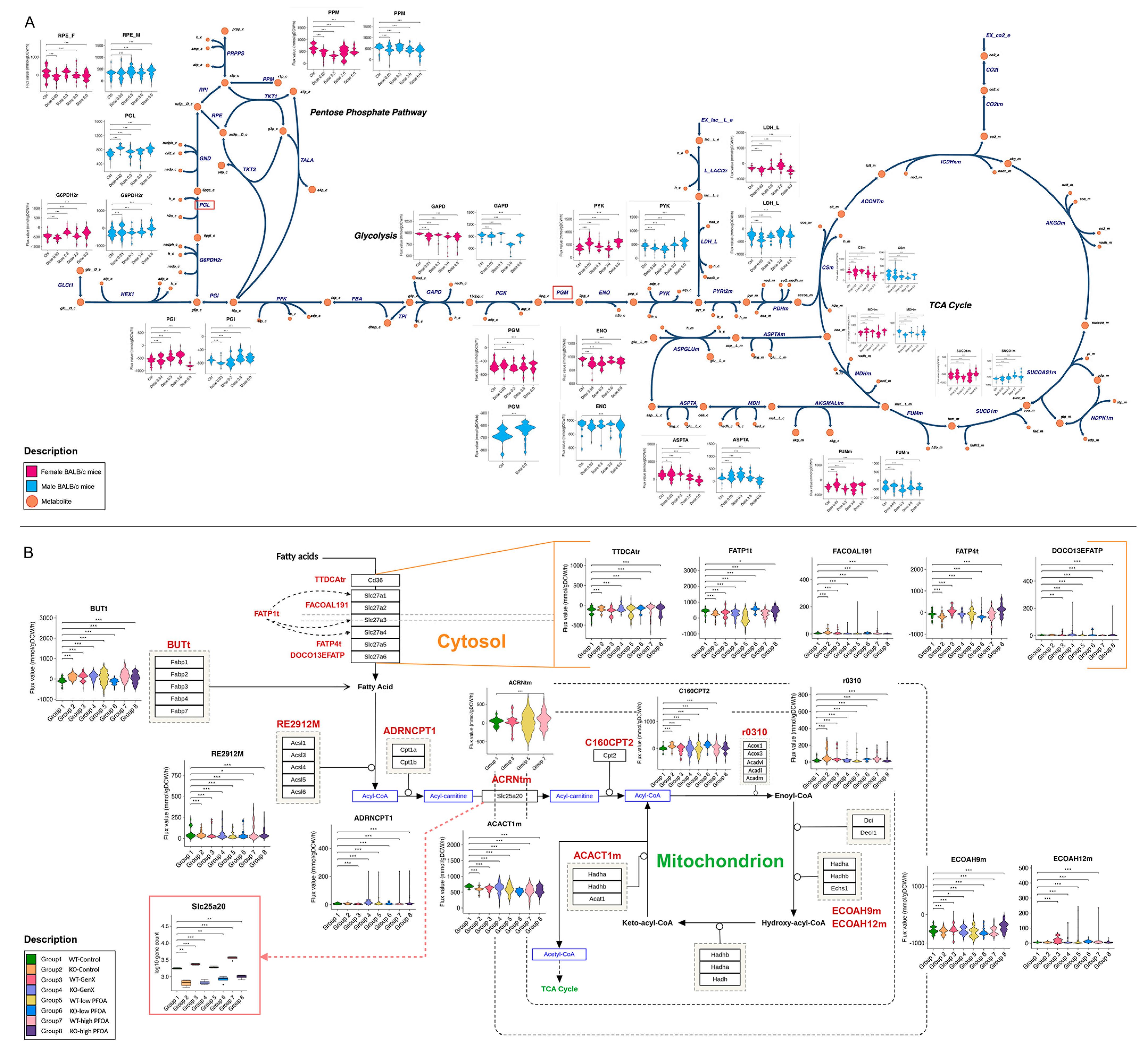 Metabolites 15 00499 g005