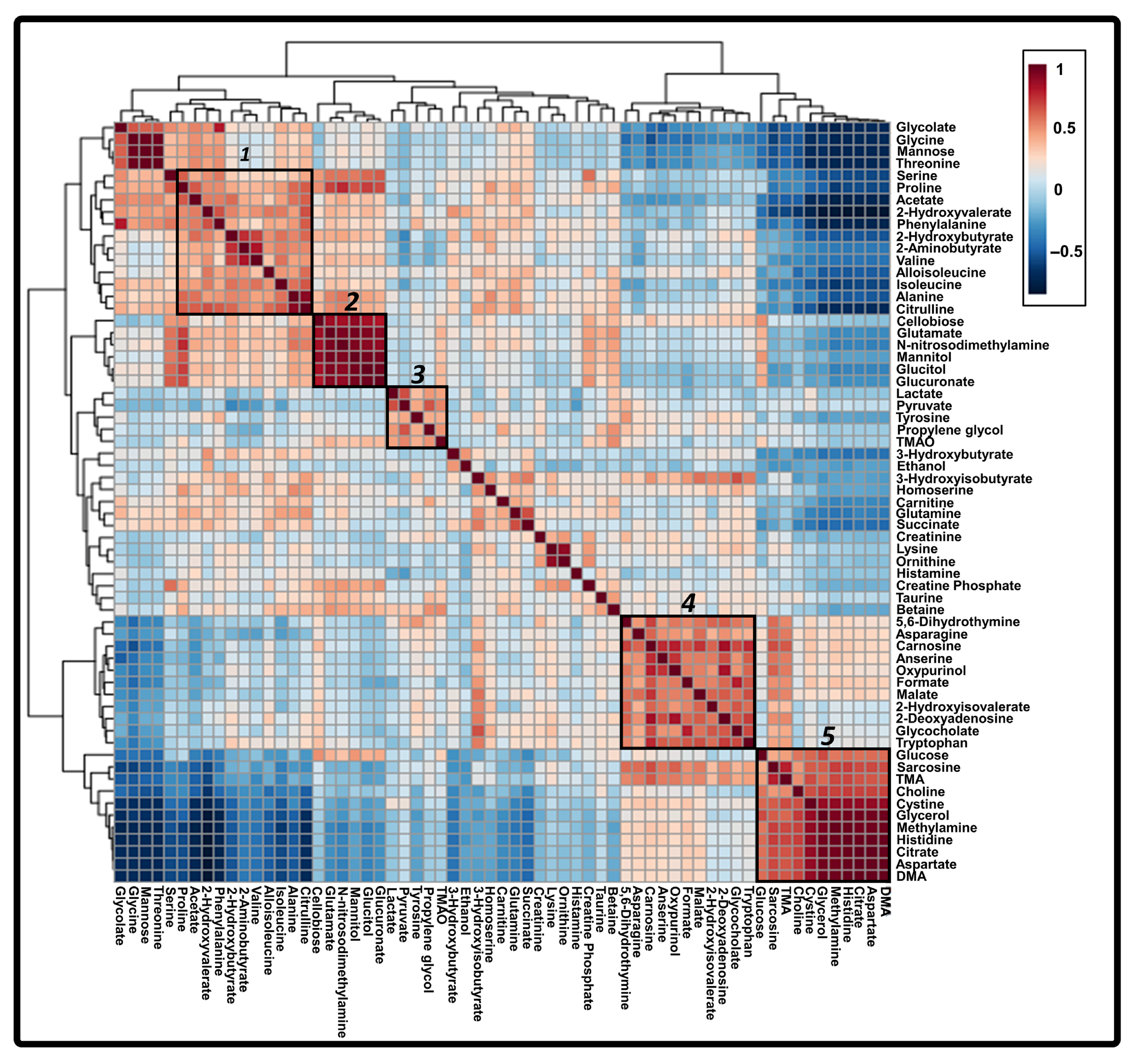Metabolites 15 00504 g004