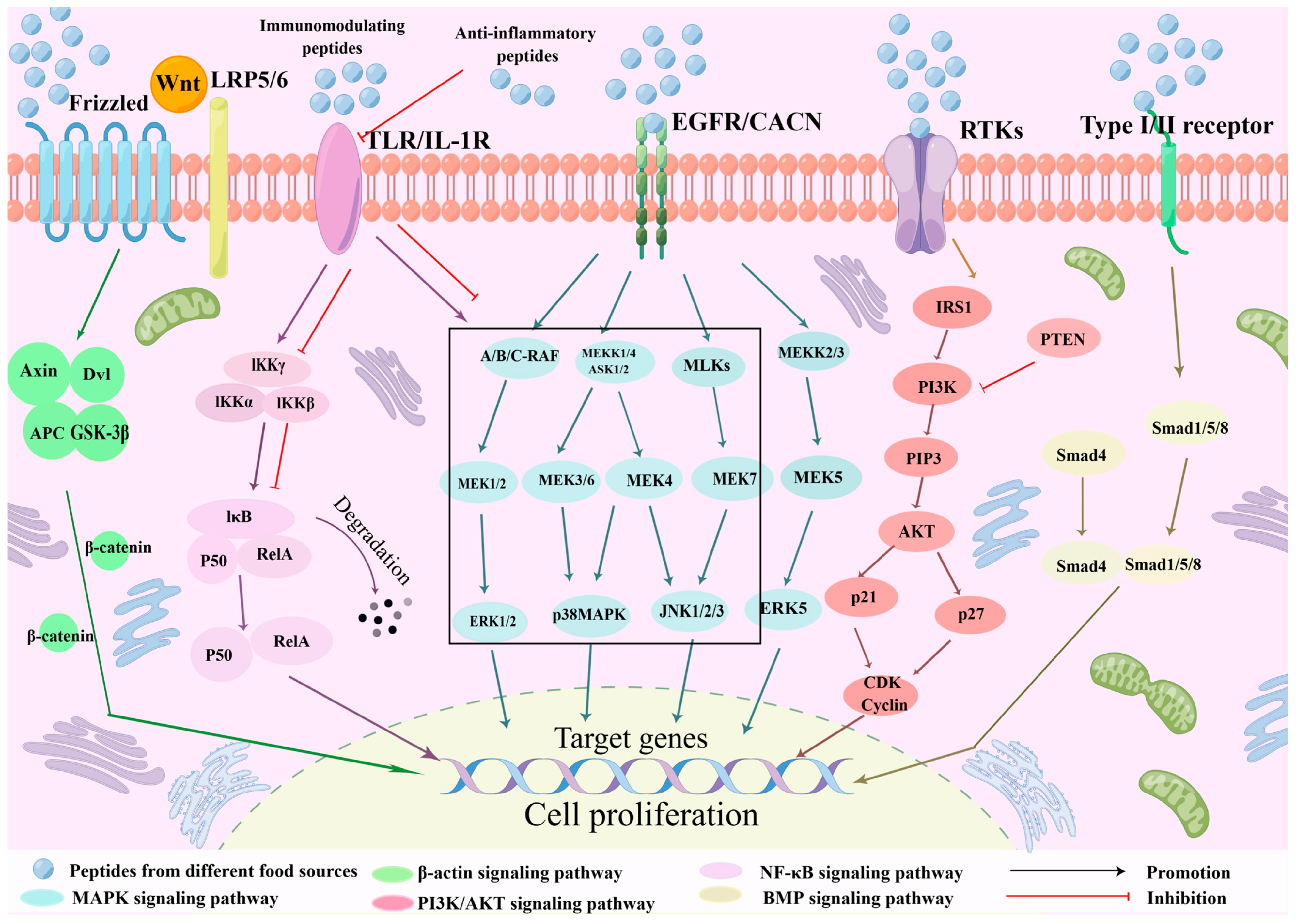 Metabolites 15 00505 g001