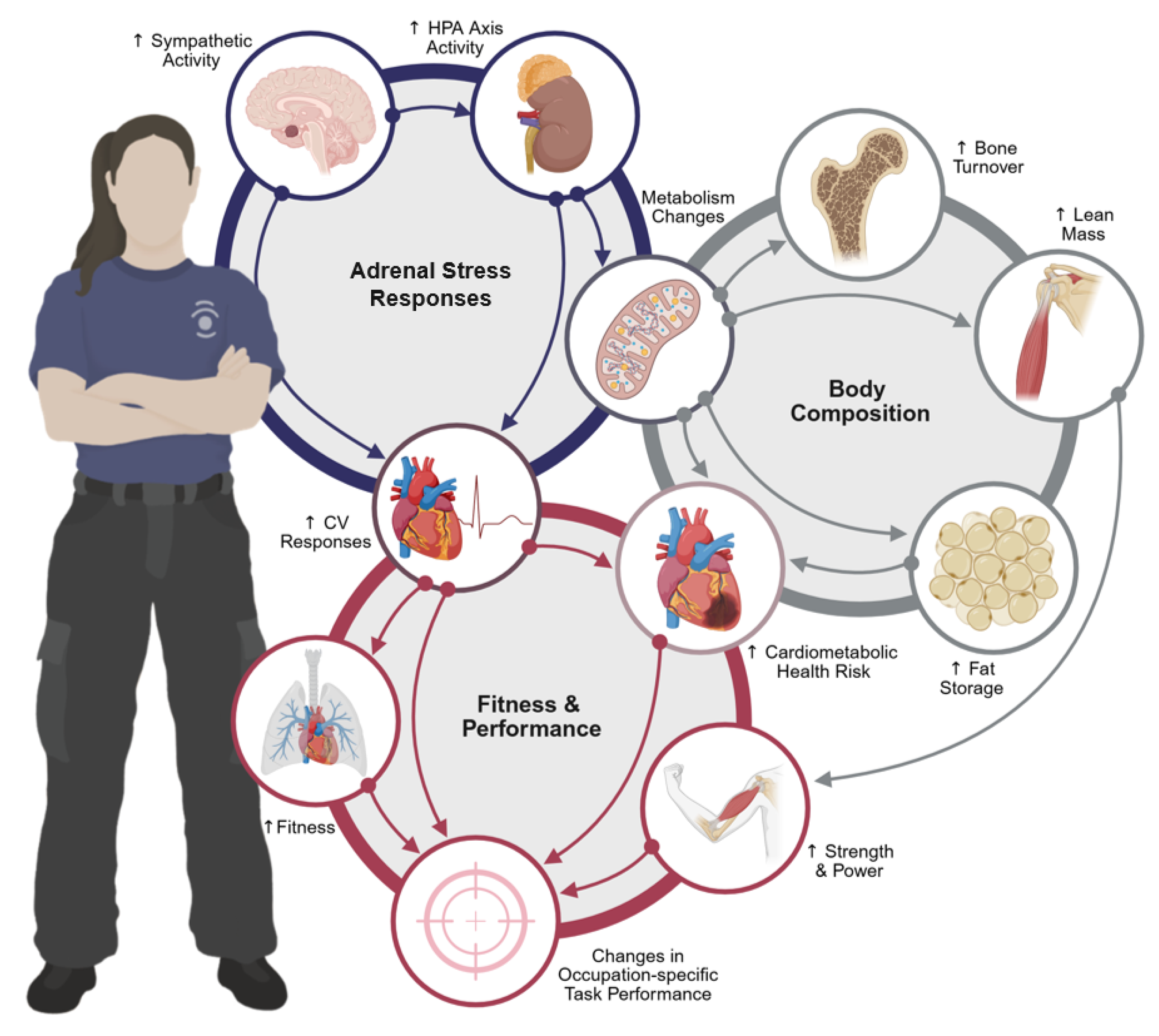 Metabolites 15 00506 g001
