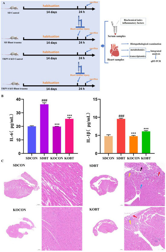 An Integrated Analysis of Transcriptomics and Metabolomics