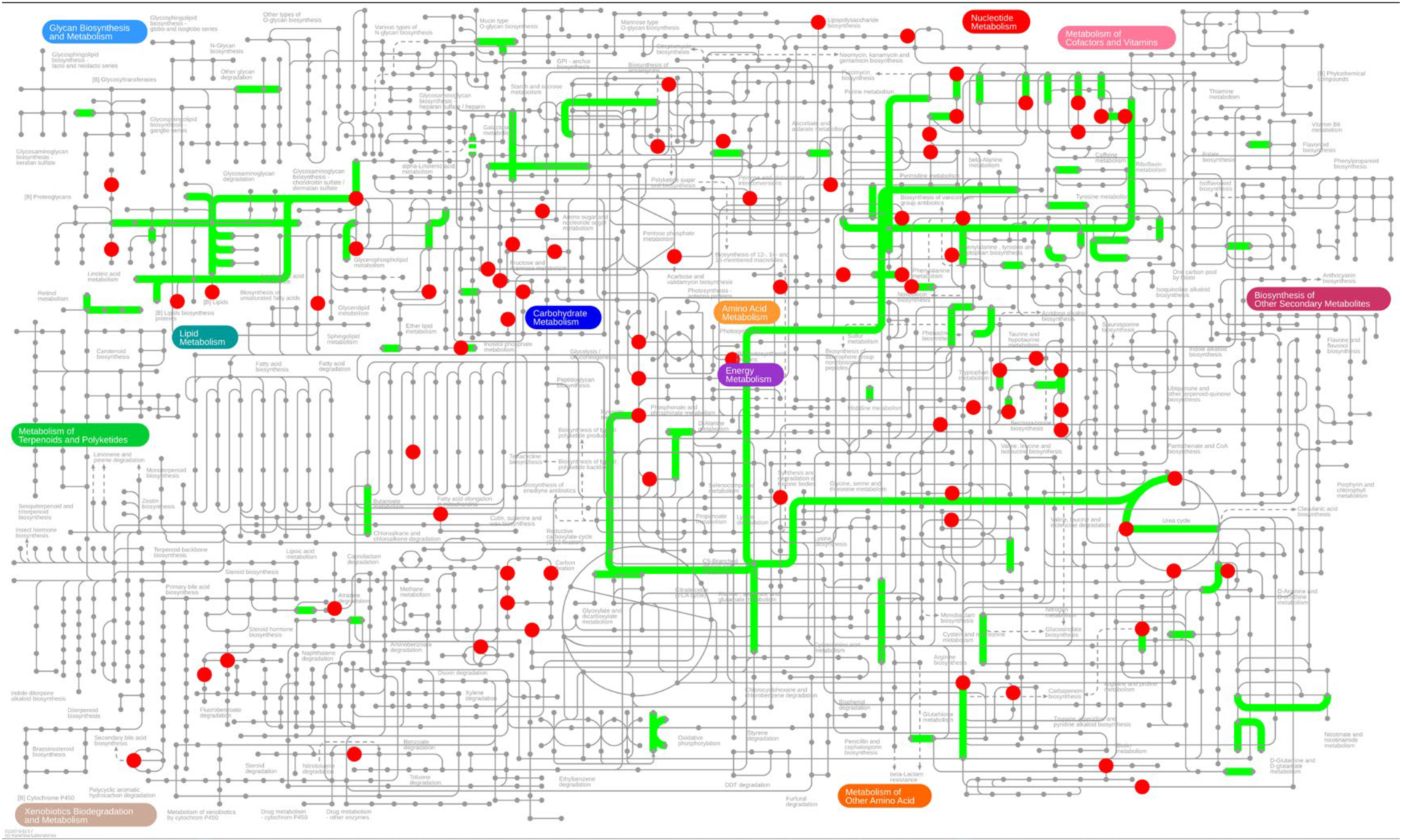 Metabolites 15 00512 g006