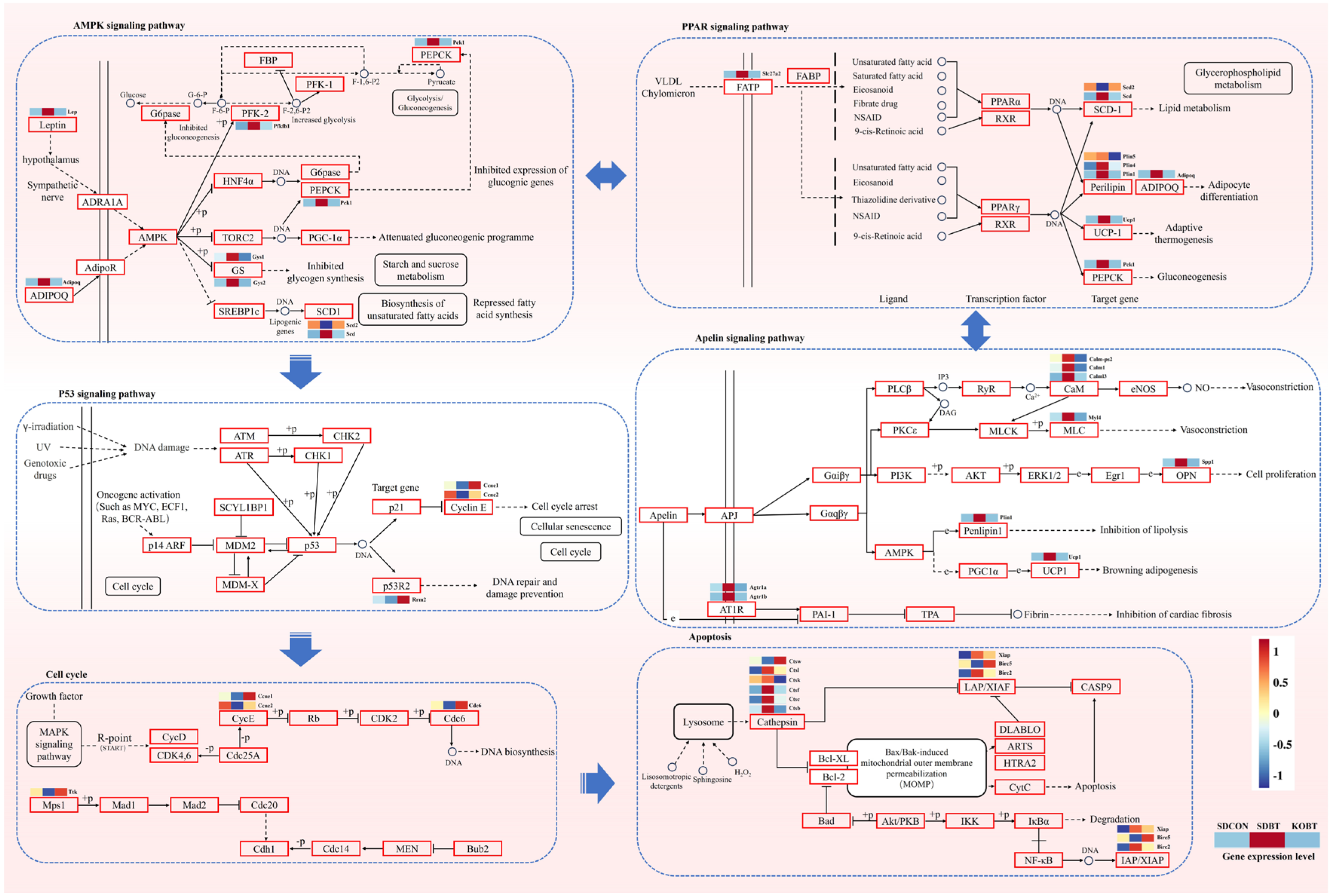 Metabolites 15 00512 g007