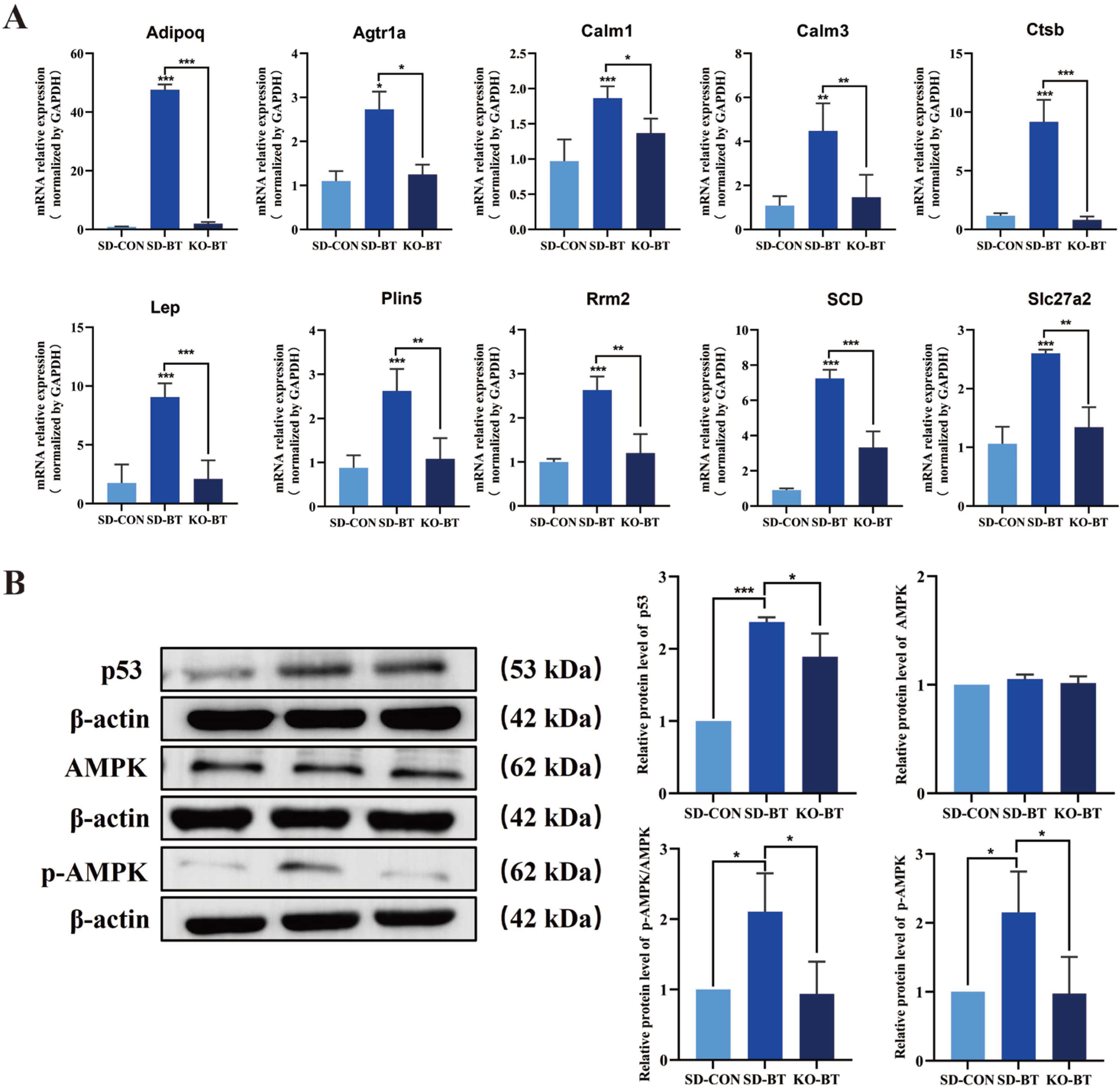 Metabolites 15 00512 g009
