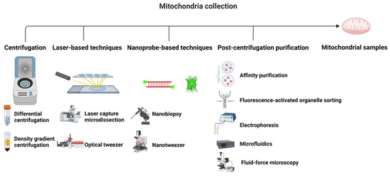 Mitochondrial Metabolomics in Cancer: Mass Spectrometry