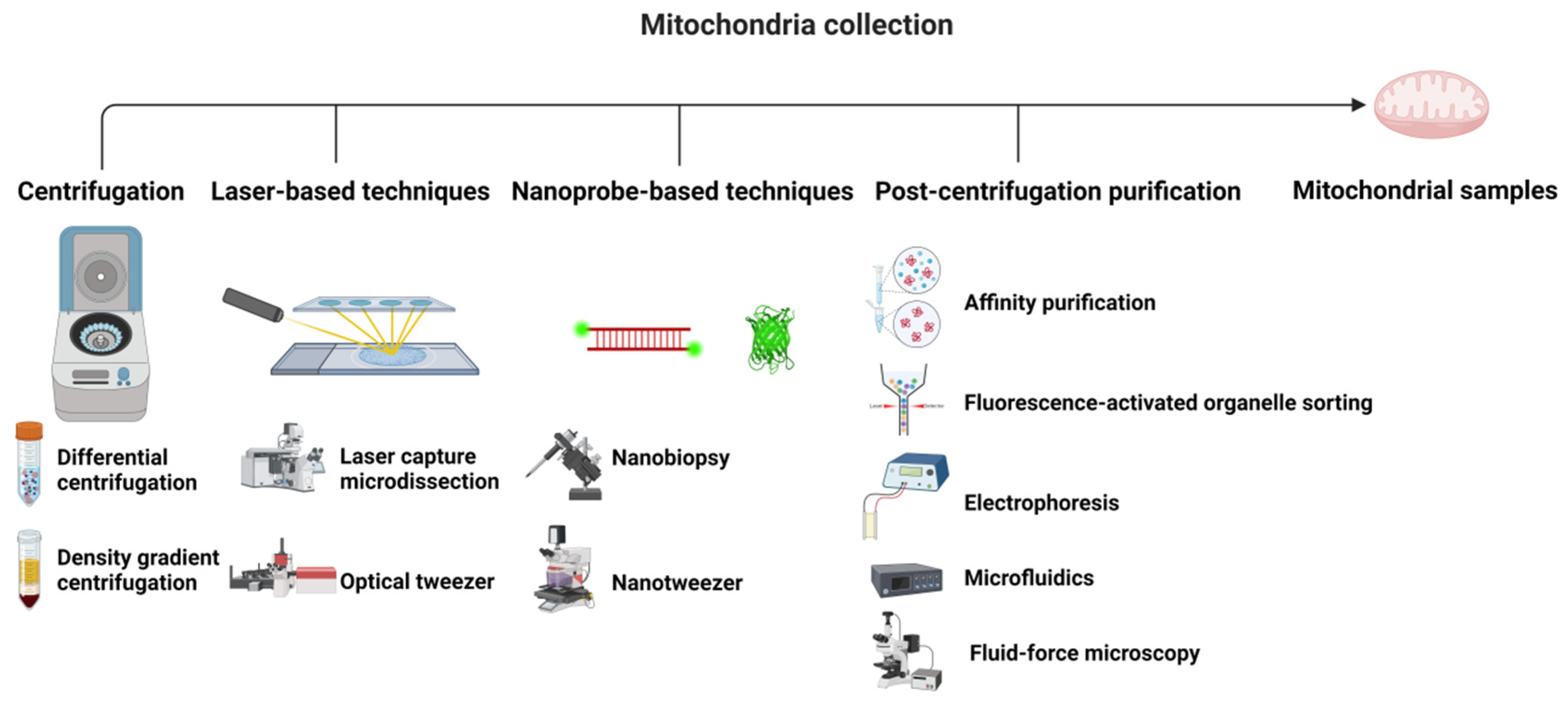 Mitochondrial Metabolomics in Cancer: Mass Spectrometry