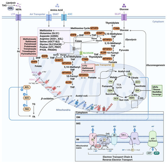 mtan Xc New 2.4L Auto Motor Part 12201-30W80 Z24 Forged Steel