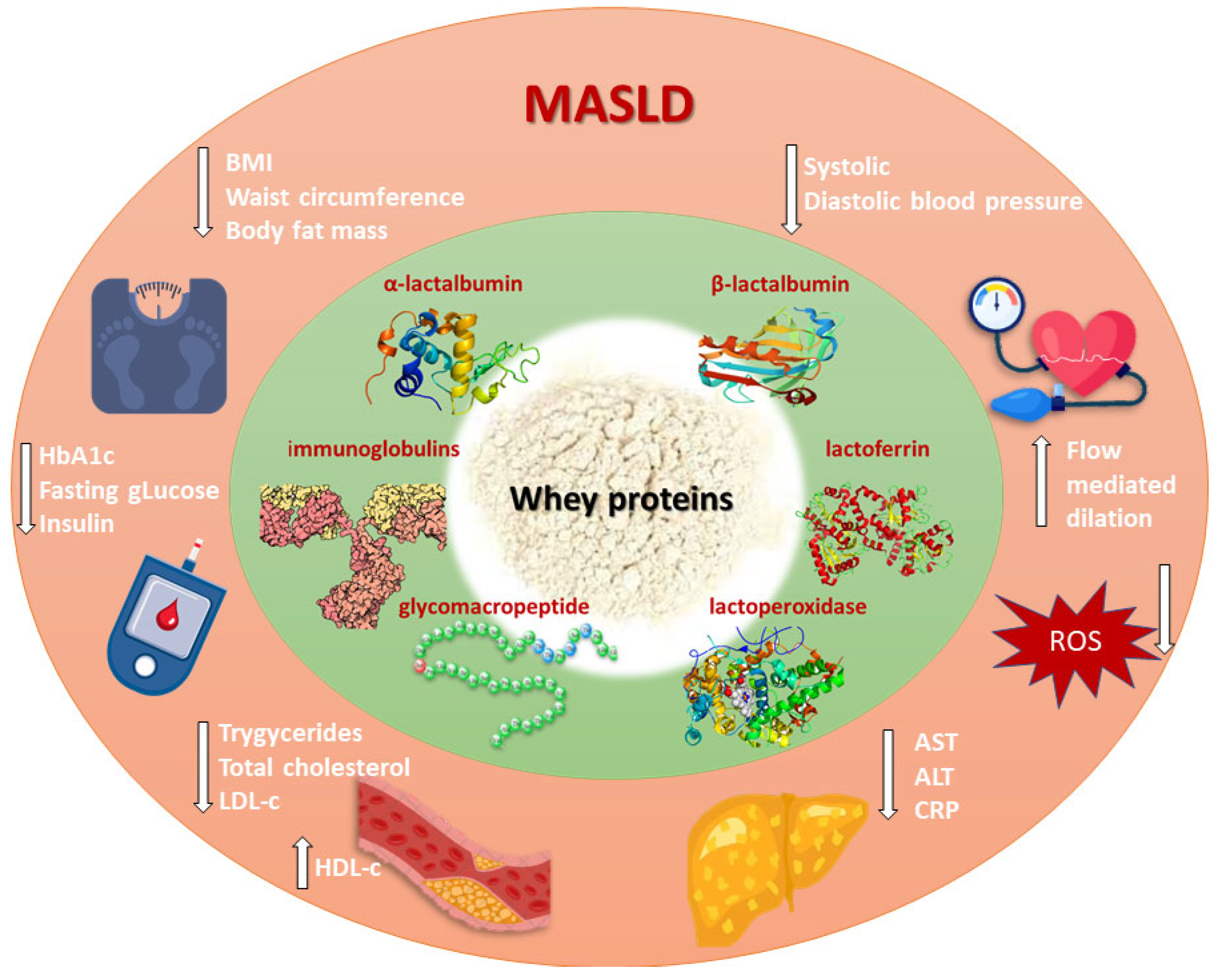 Metabolites 15 00516 g001