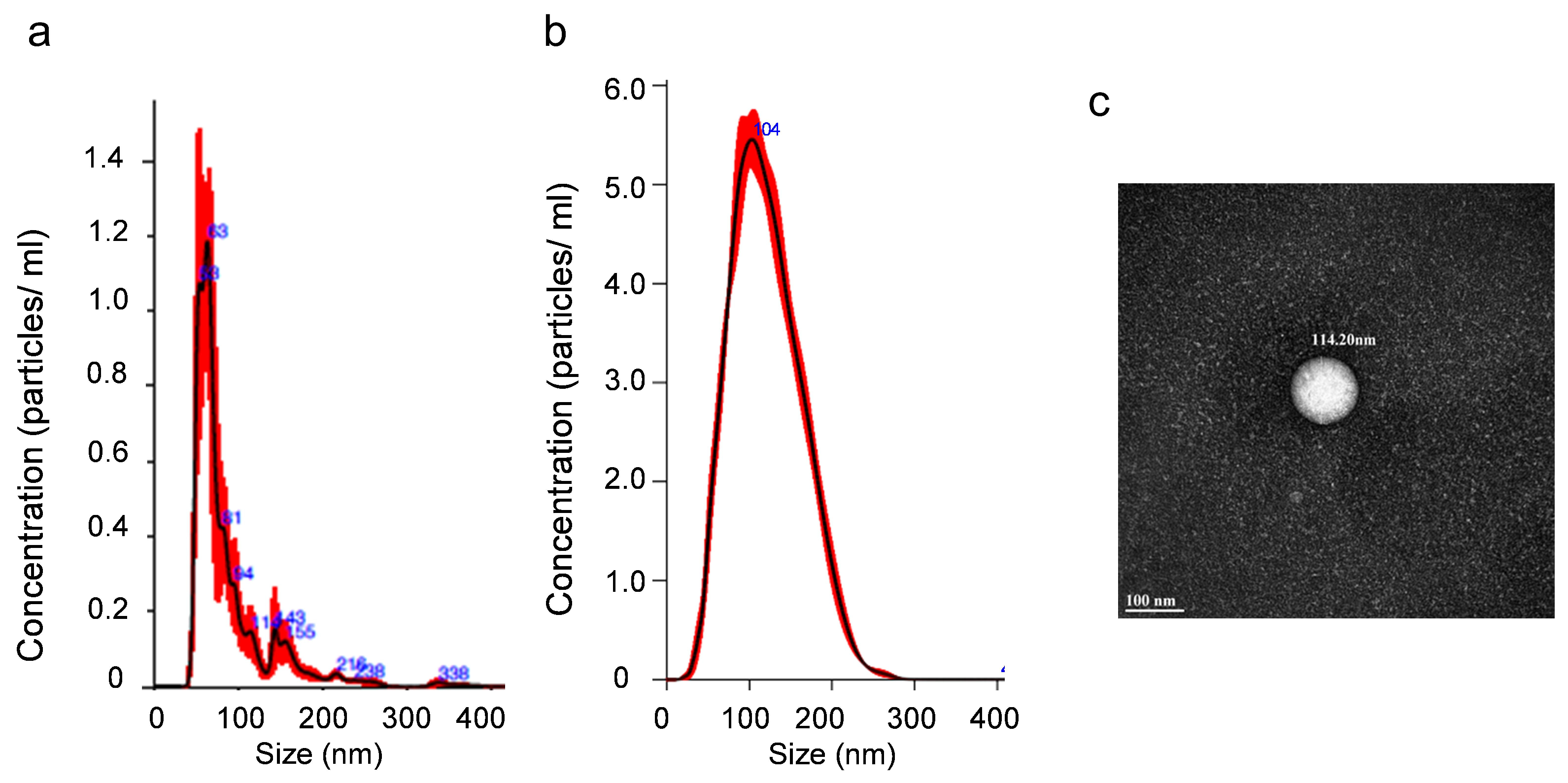 Metabolites 15 00523 g001