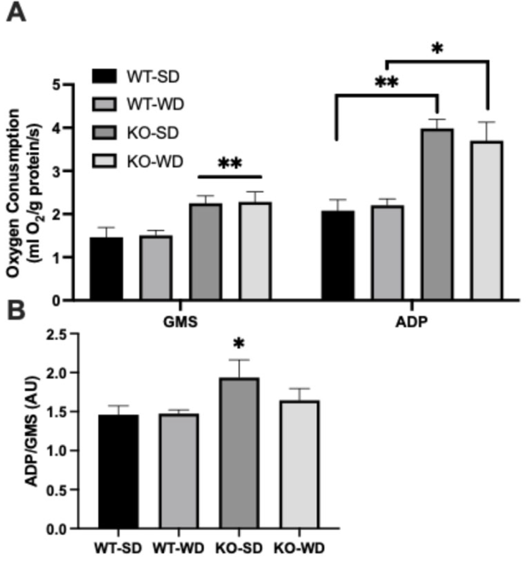 Metabolites 15 00524 g004