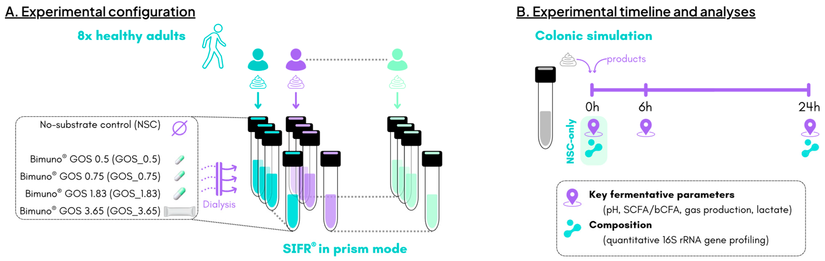 Metabolites 15 00530 g001