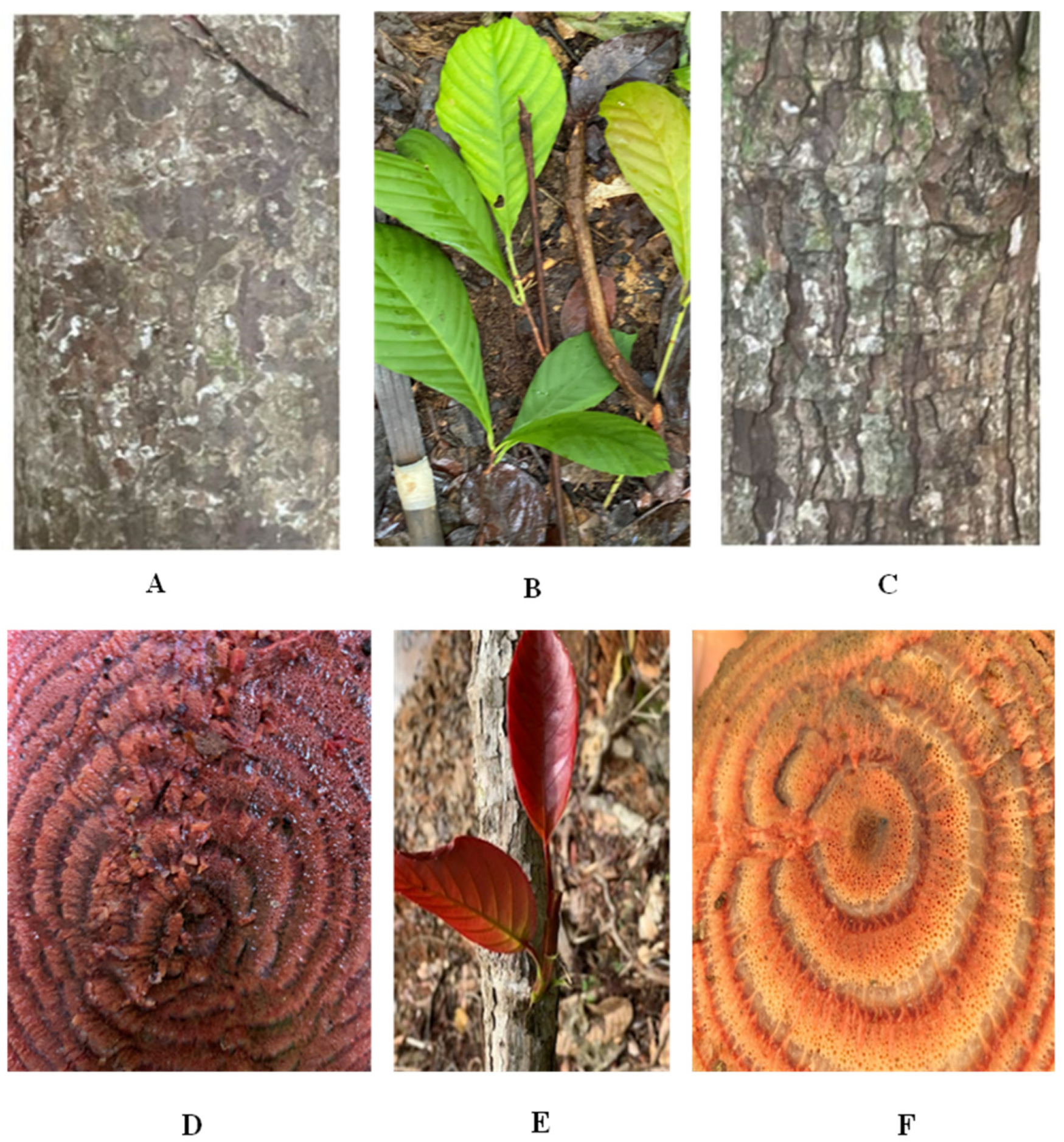 Metabolites 15 00533 g001 Metabolites 15 00533 g001