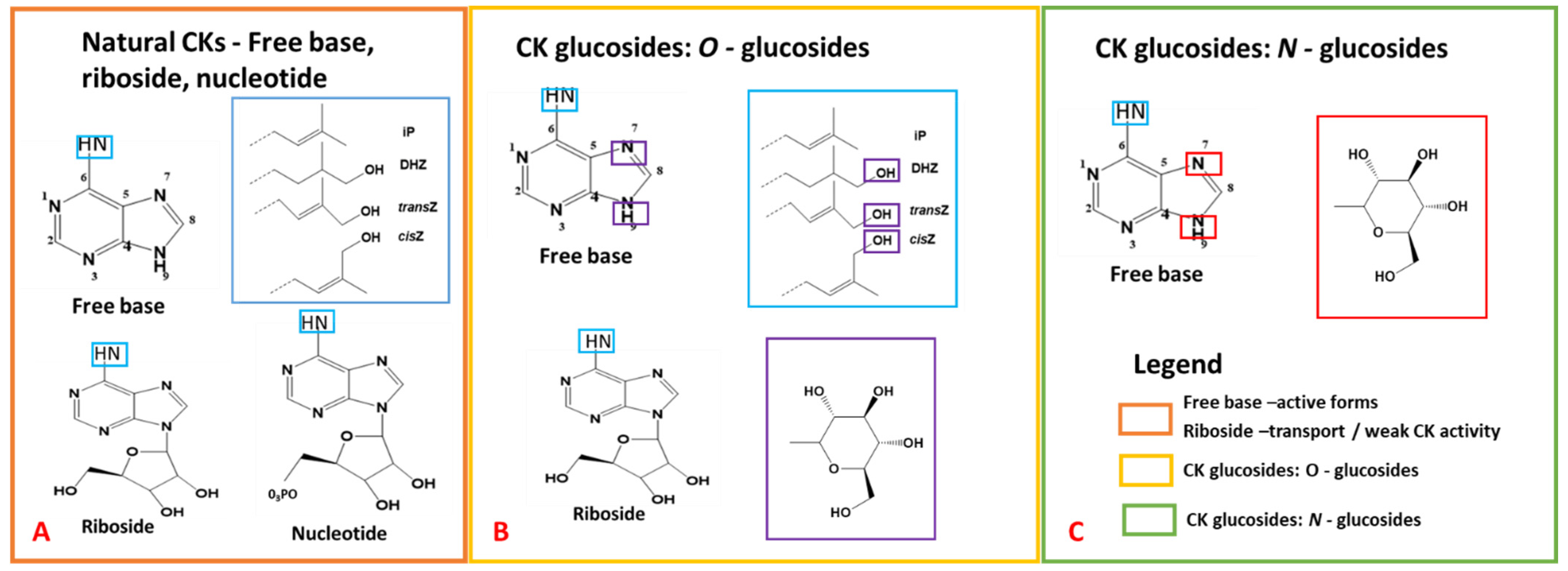 Metabolites 15 00533 g002 Metabolites 15 00533 g002