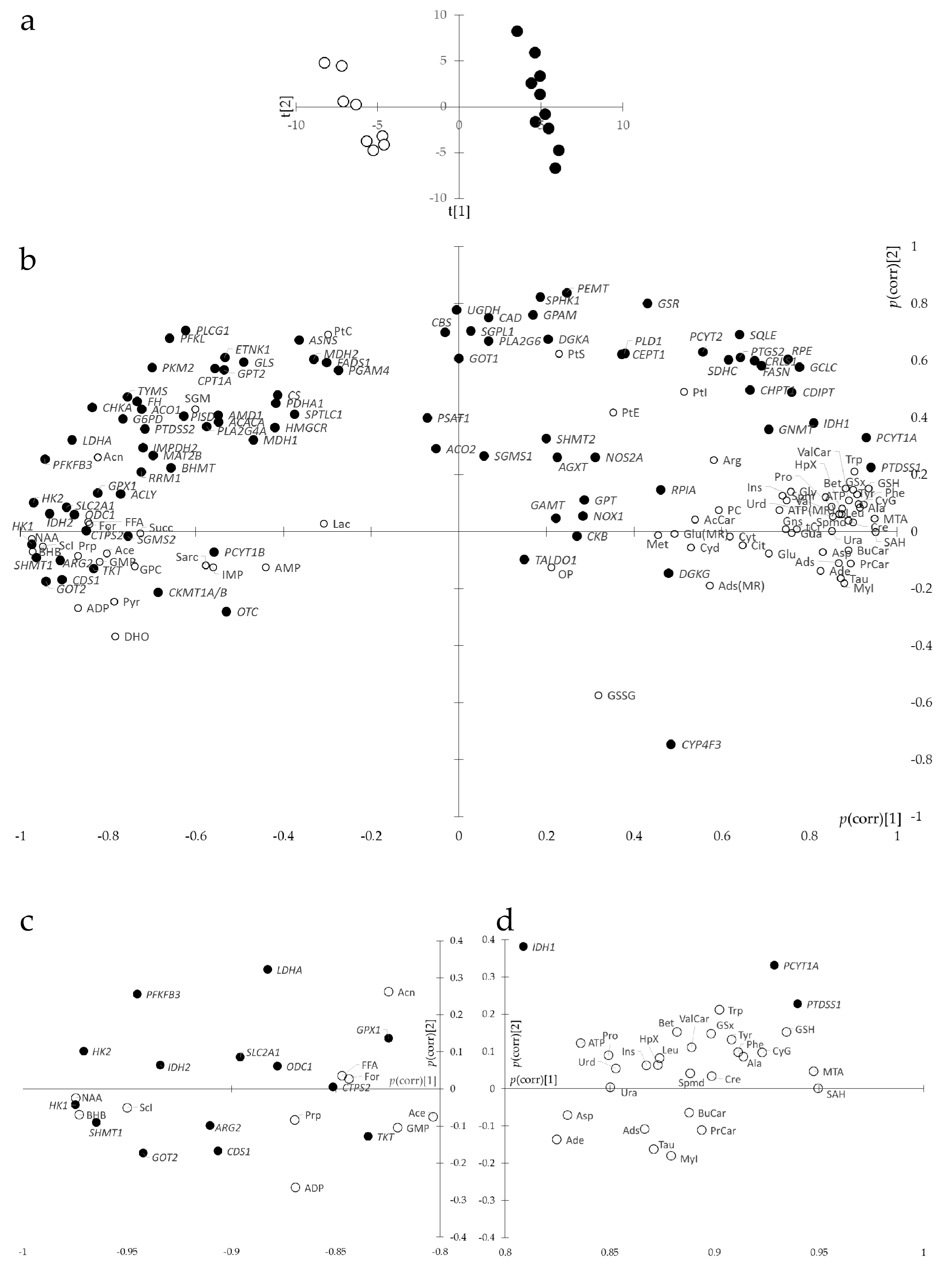 Metabolites 15 00534 g004 Metabolites 15 00534 g004