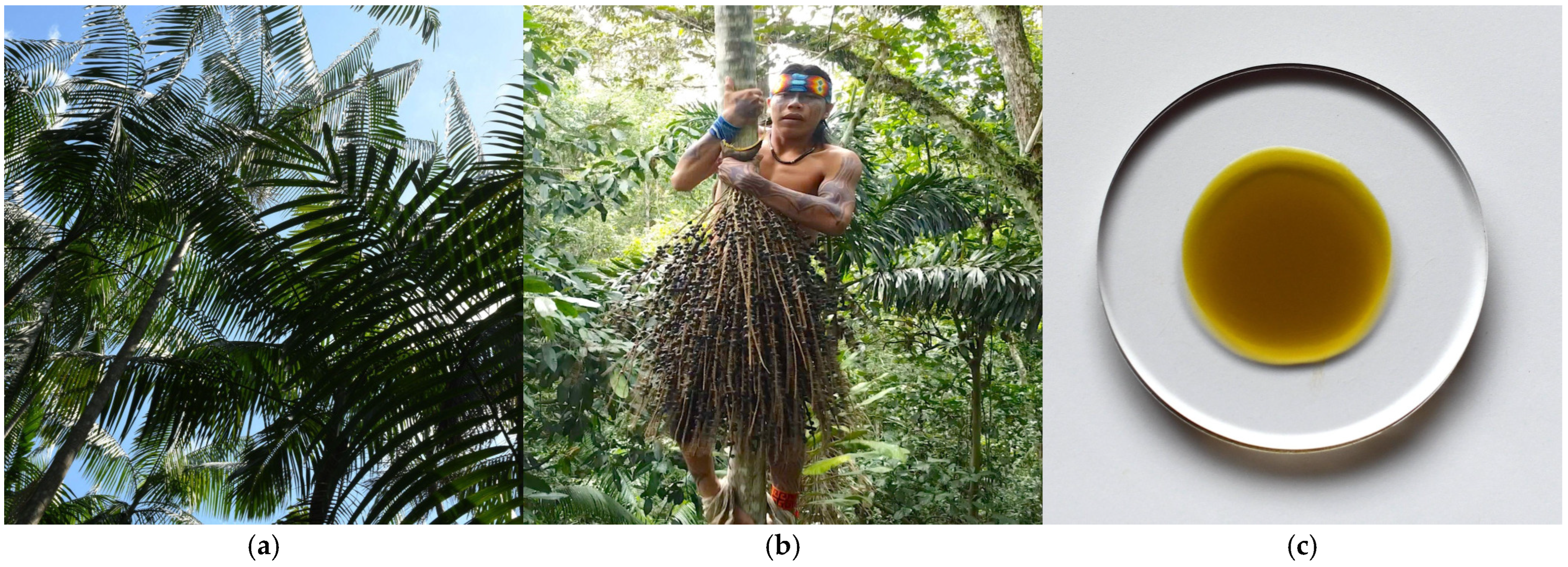 Metabolites 15 00554 g001