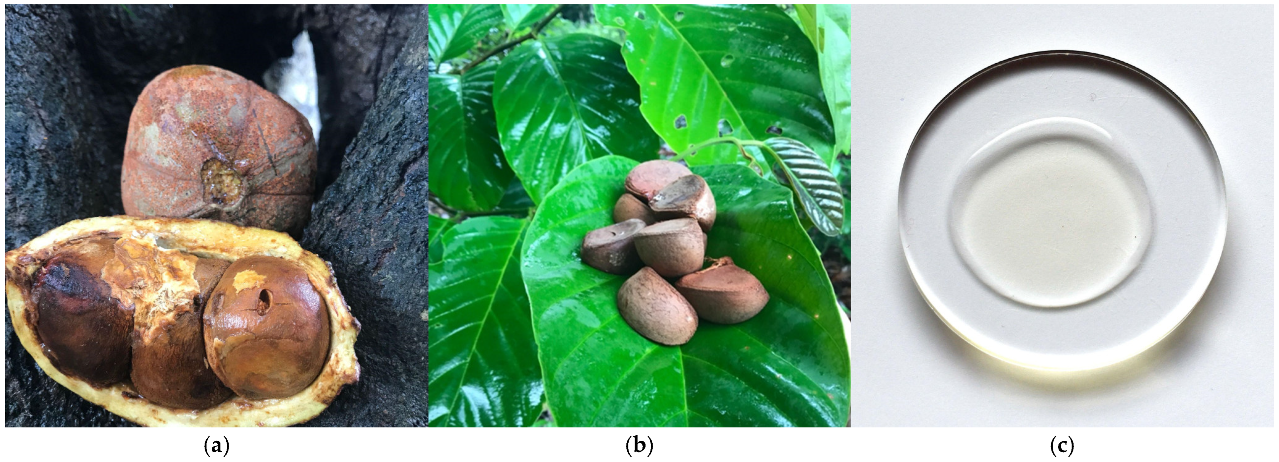 Metabolites 15 00554 g002