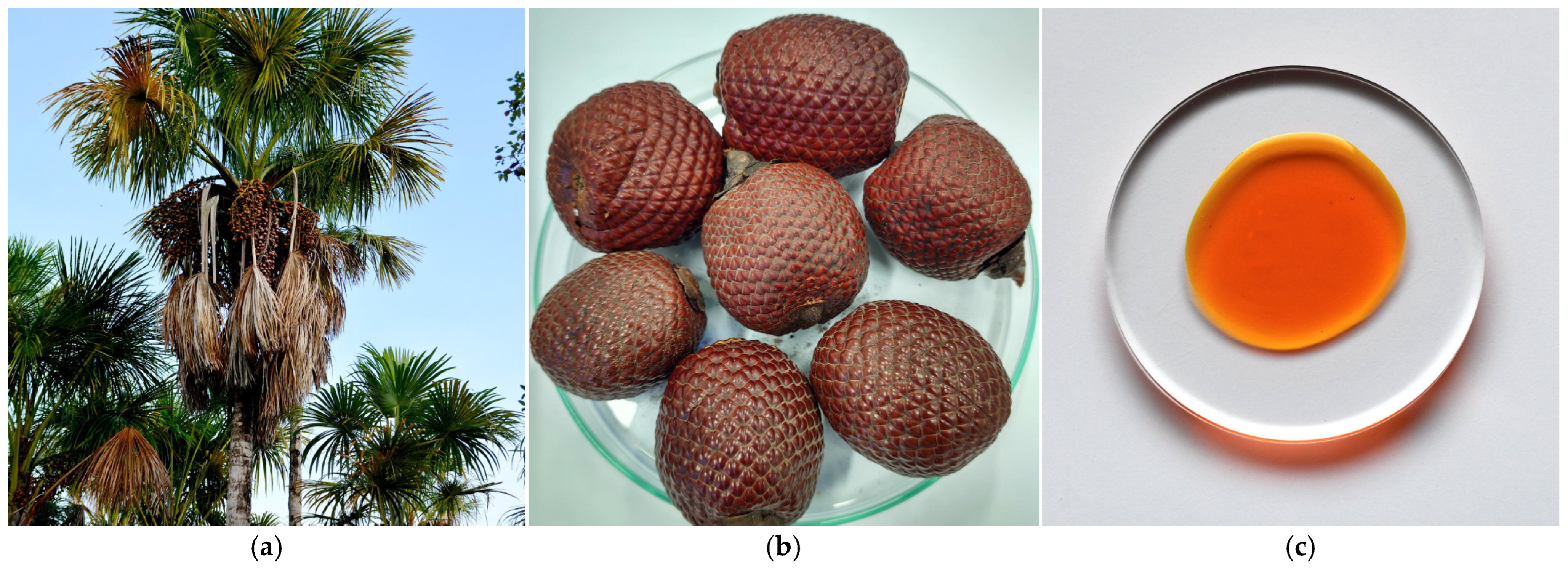 Metabolites 15 00554 g004