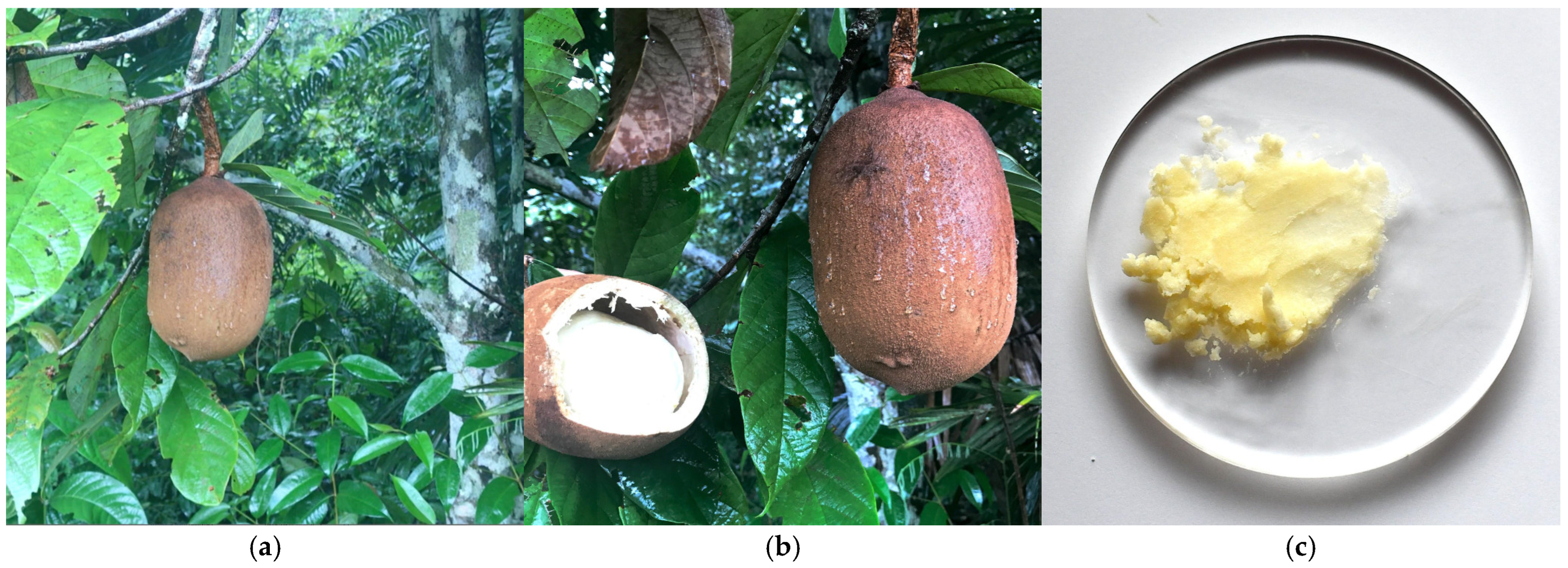 Metabolites 15 00554 g005