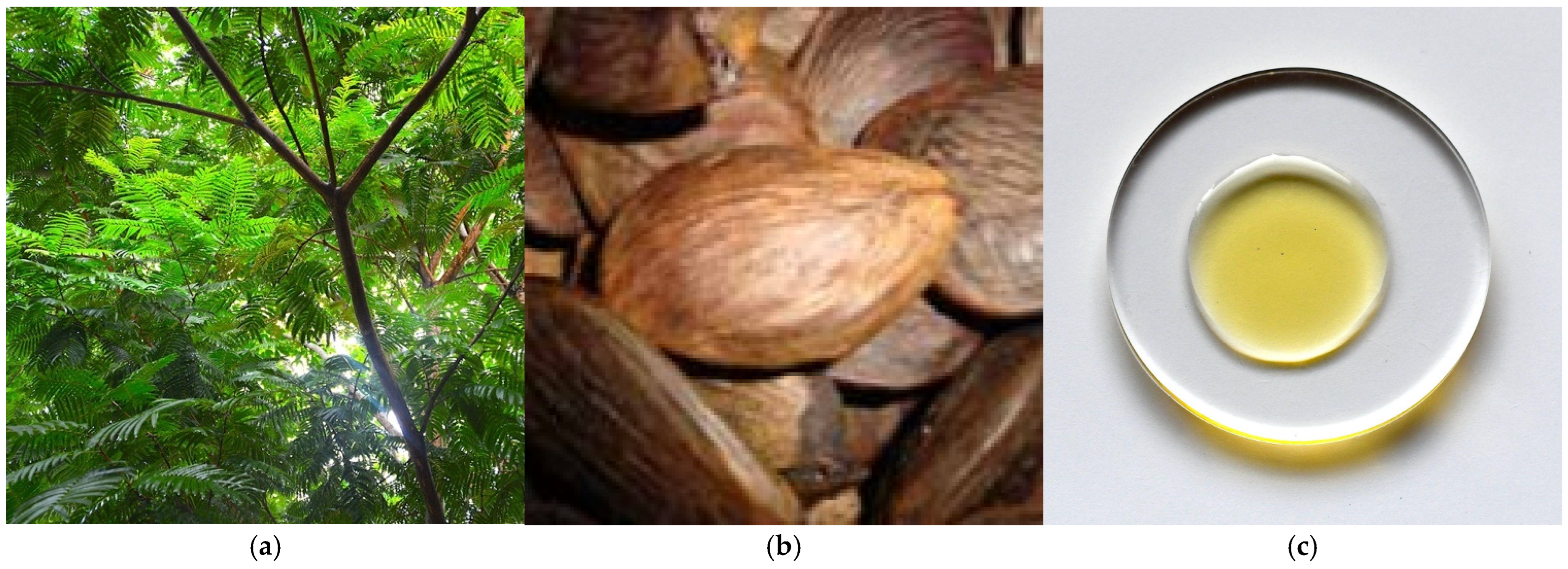 Metabolites 15 00554 g006