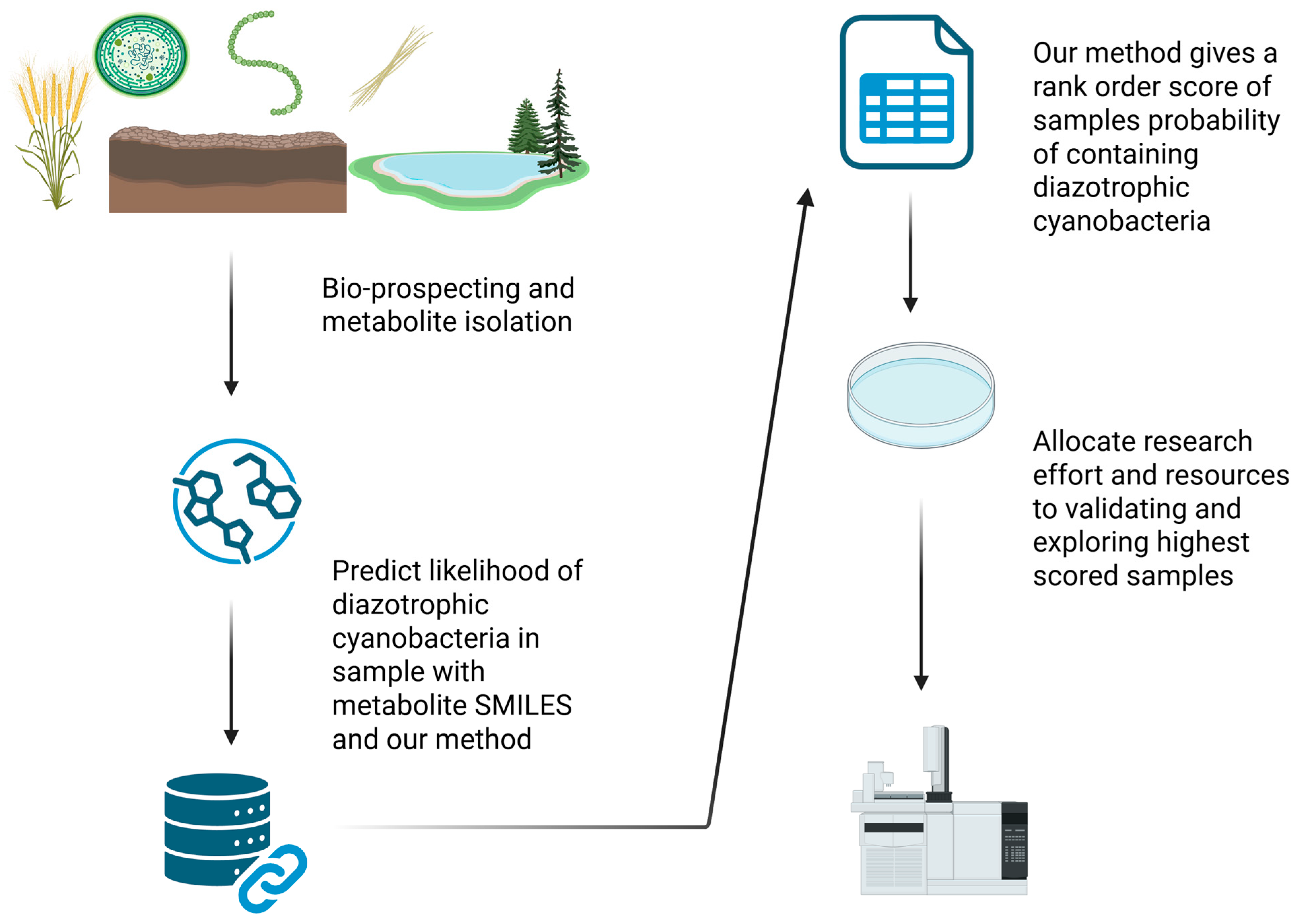 Metabolites 15 00562 g001