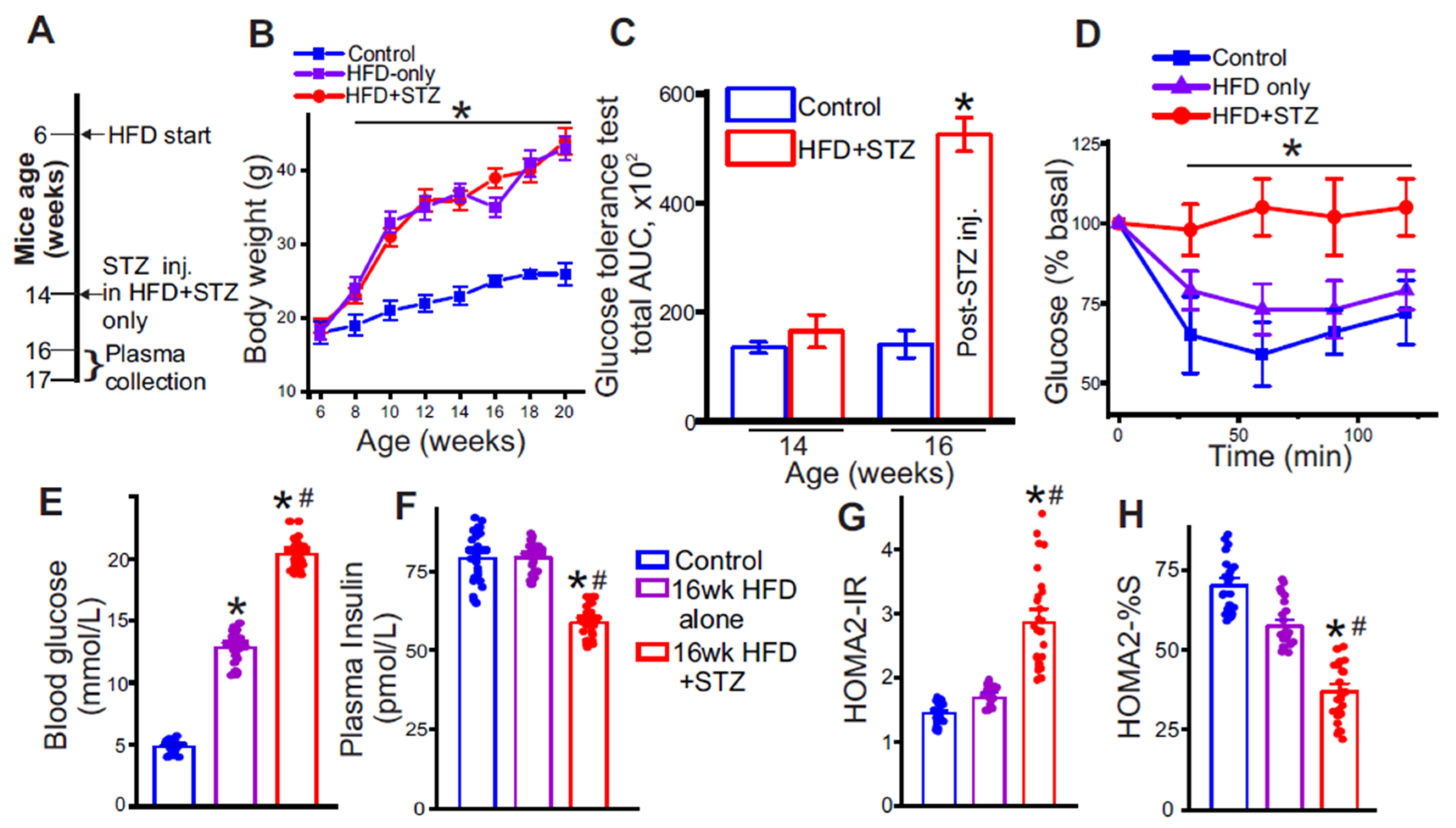 Metabolites 15 00564 g002 Metabolites 15 00564 g002