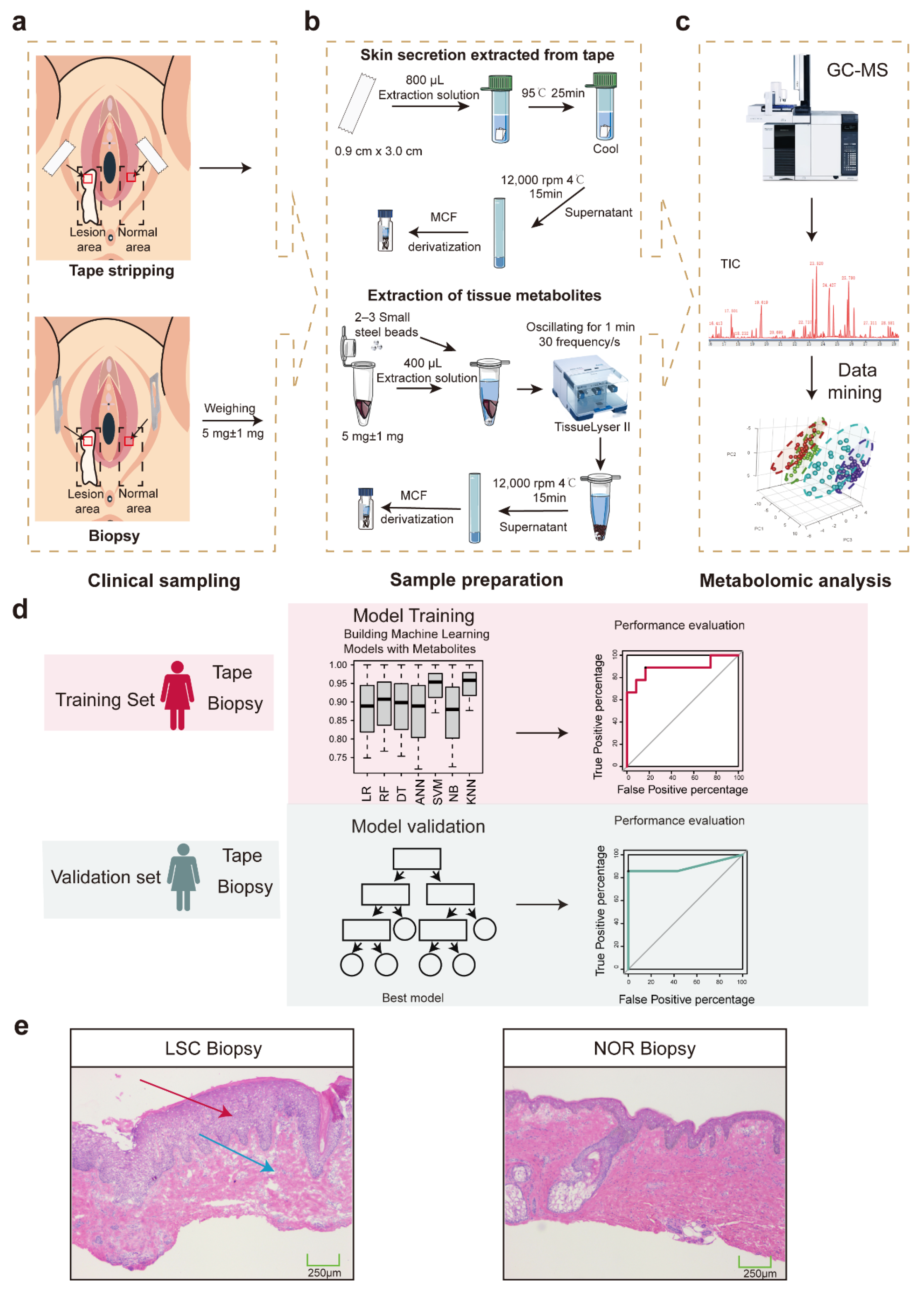 Metabolites 15 00566 g001 Metabolites 15 00566 g001