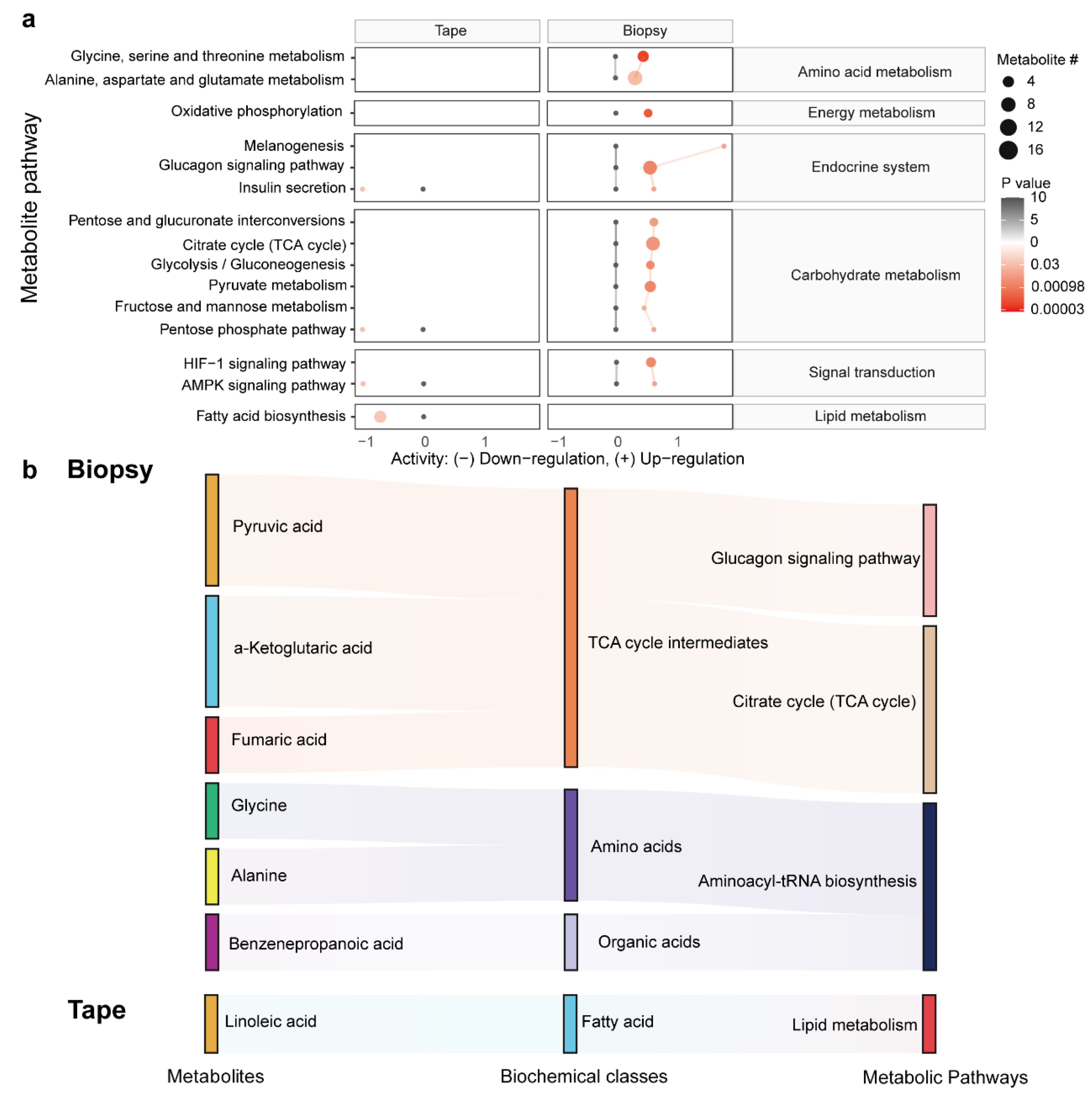 Metabolites 15 00566 g005 Metabolites 15 00566 g005