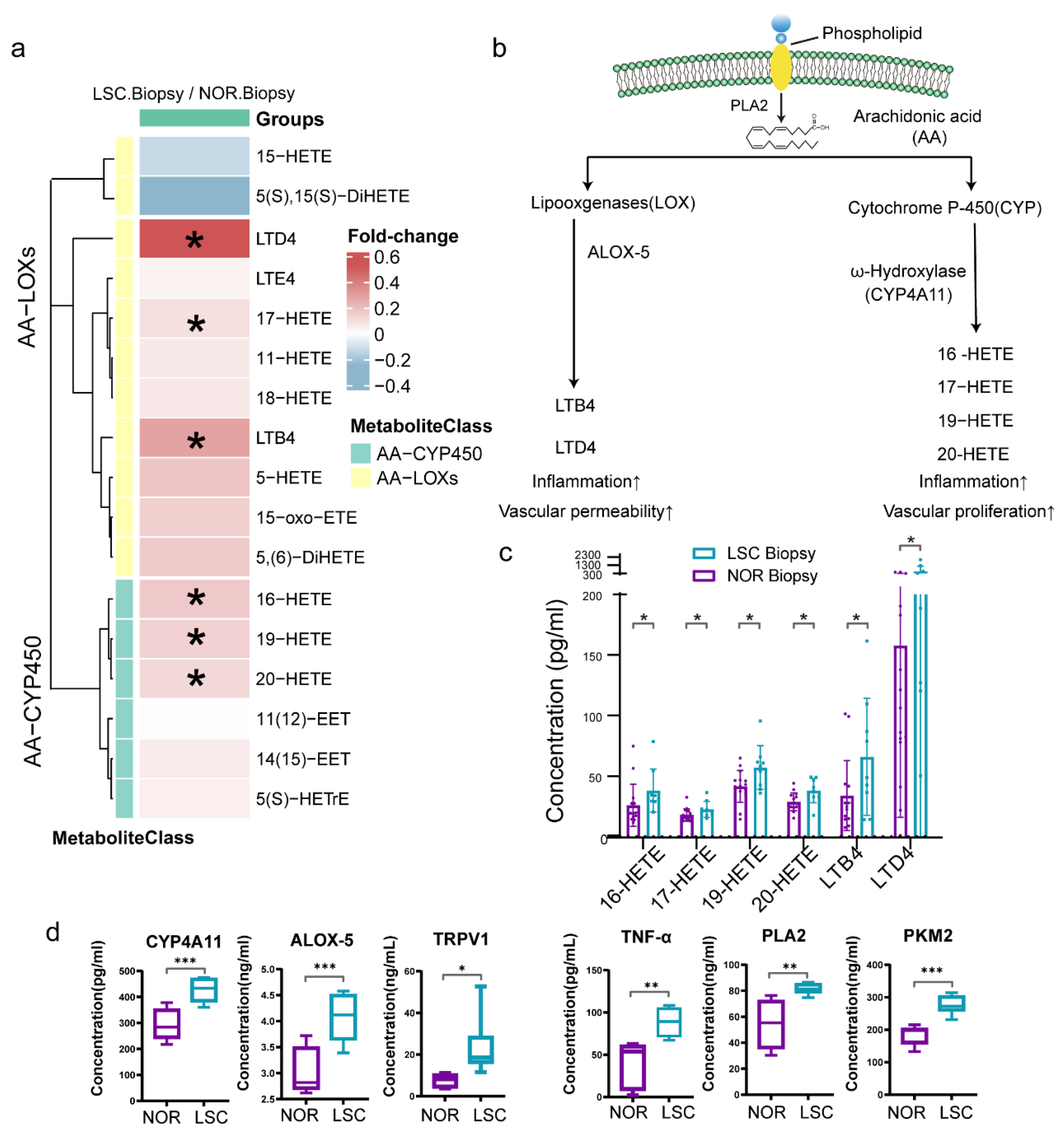 Metabolites 15 00566 g007 Metabolites 15 00566 g007