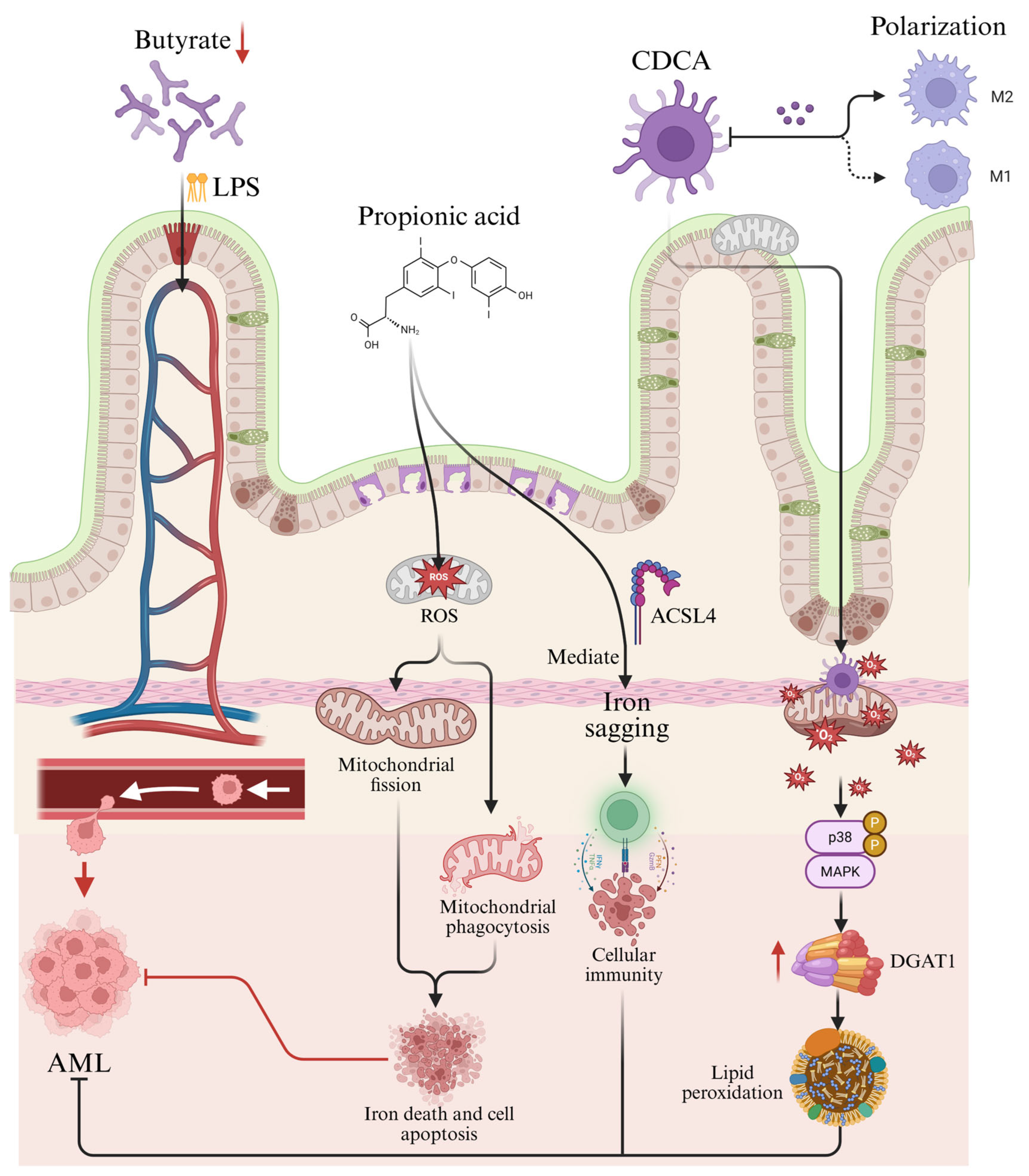 Metabolites 15 00568 g001