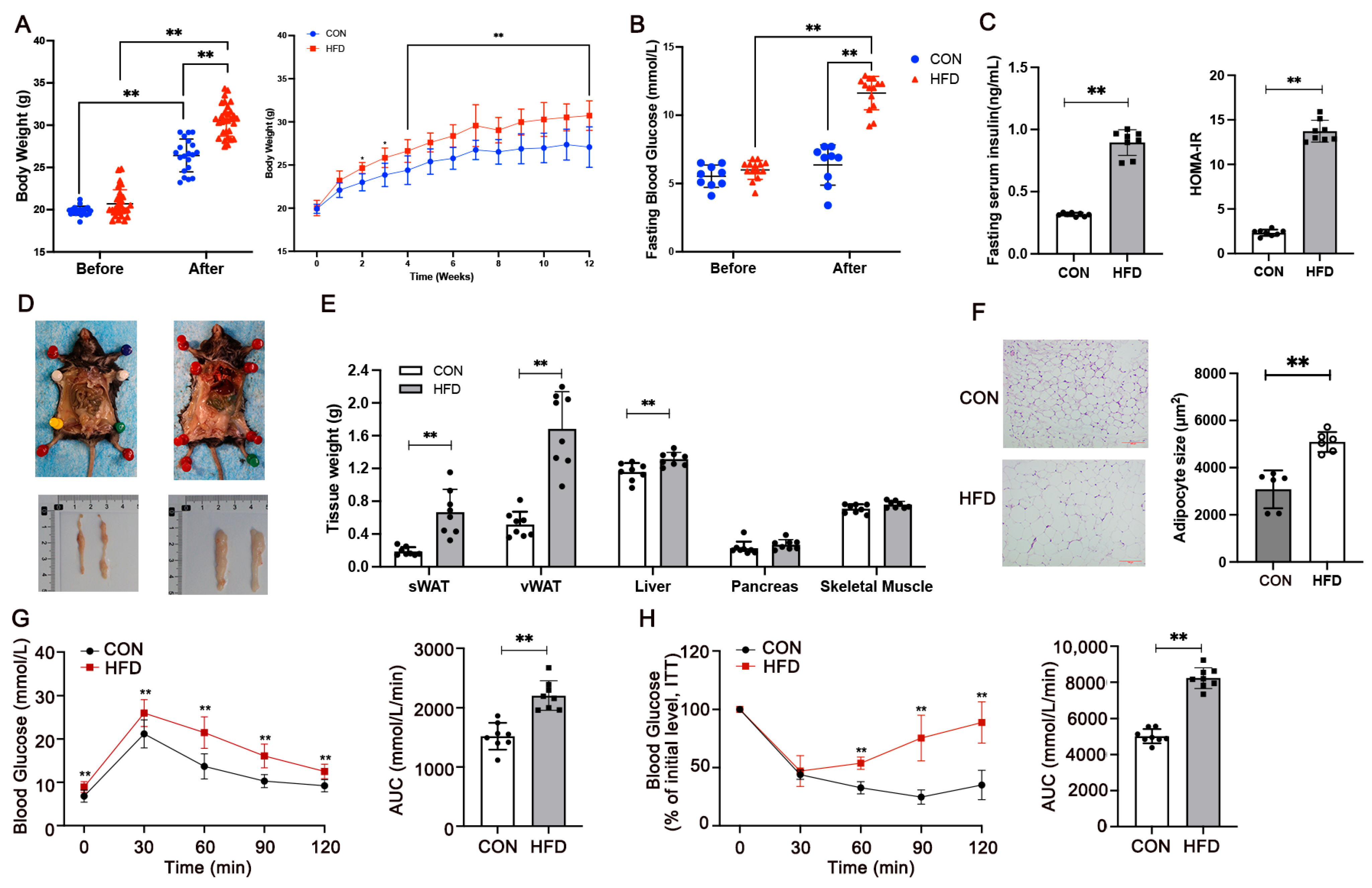 Metabolites 15 00572 g001 Metabolites 15 00572 g001
