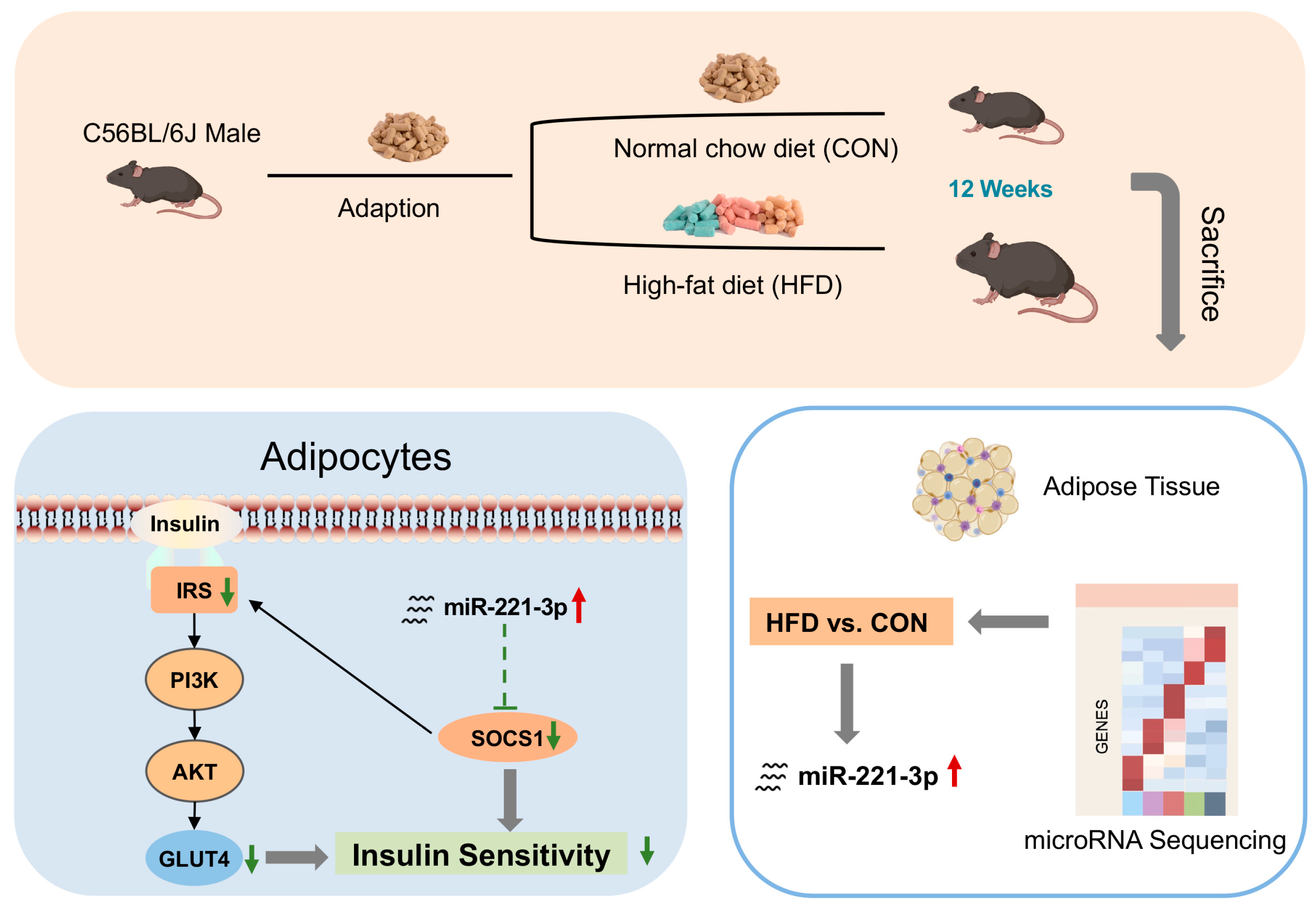 Metabolites 15 00572 g007 Metabolites 15 00572 g007