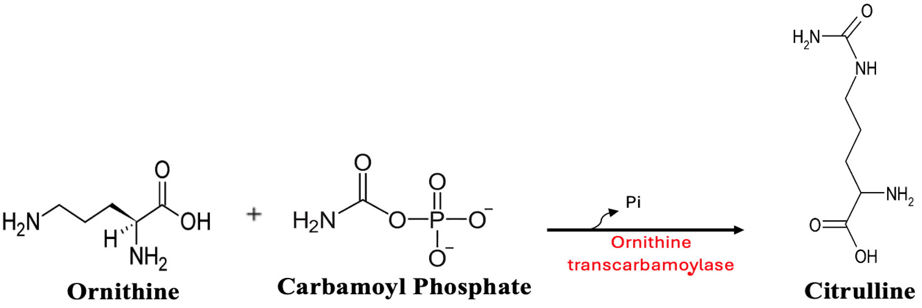 Metabolites 15 00573 g003 Metabolites 15 00573 g003