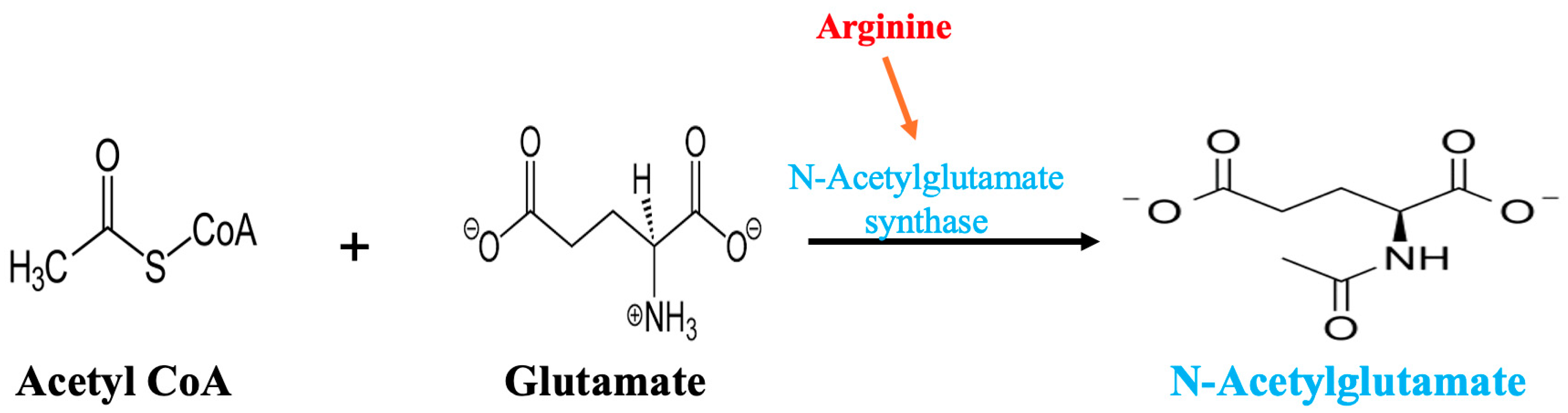 Metabolites 15 00573 g006 Metabolites 15 00573 g006