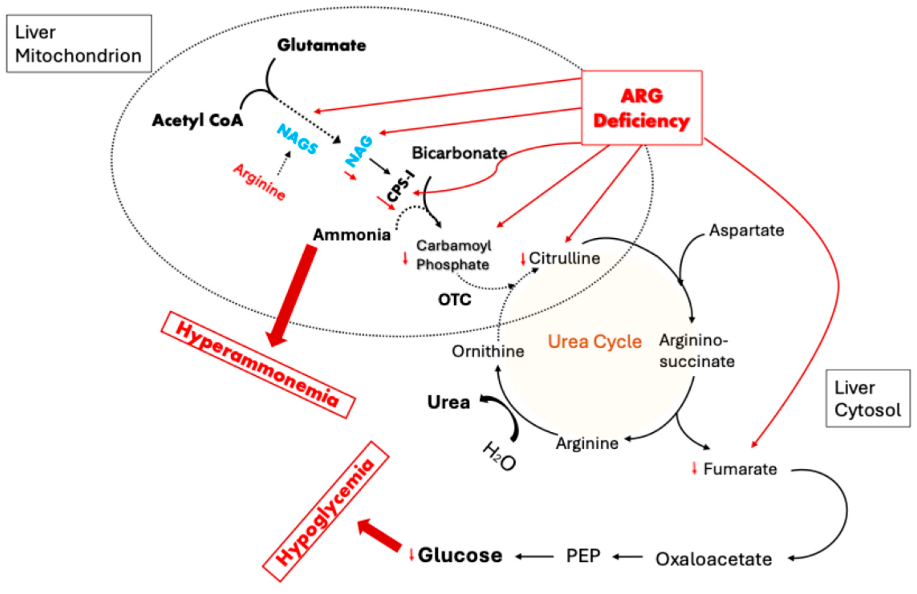 Metabolites 15 00573 g007 Metabolites 15 00573 g007