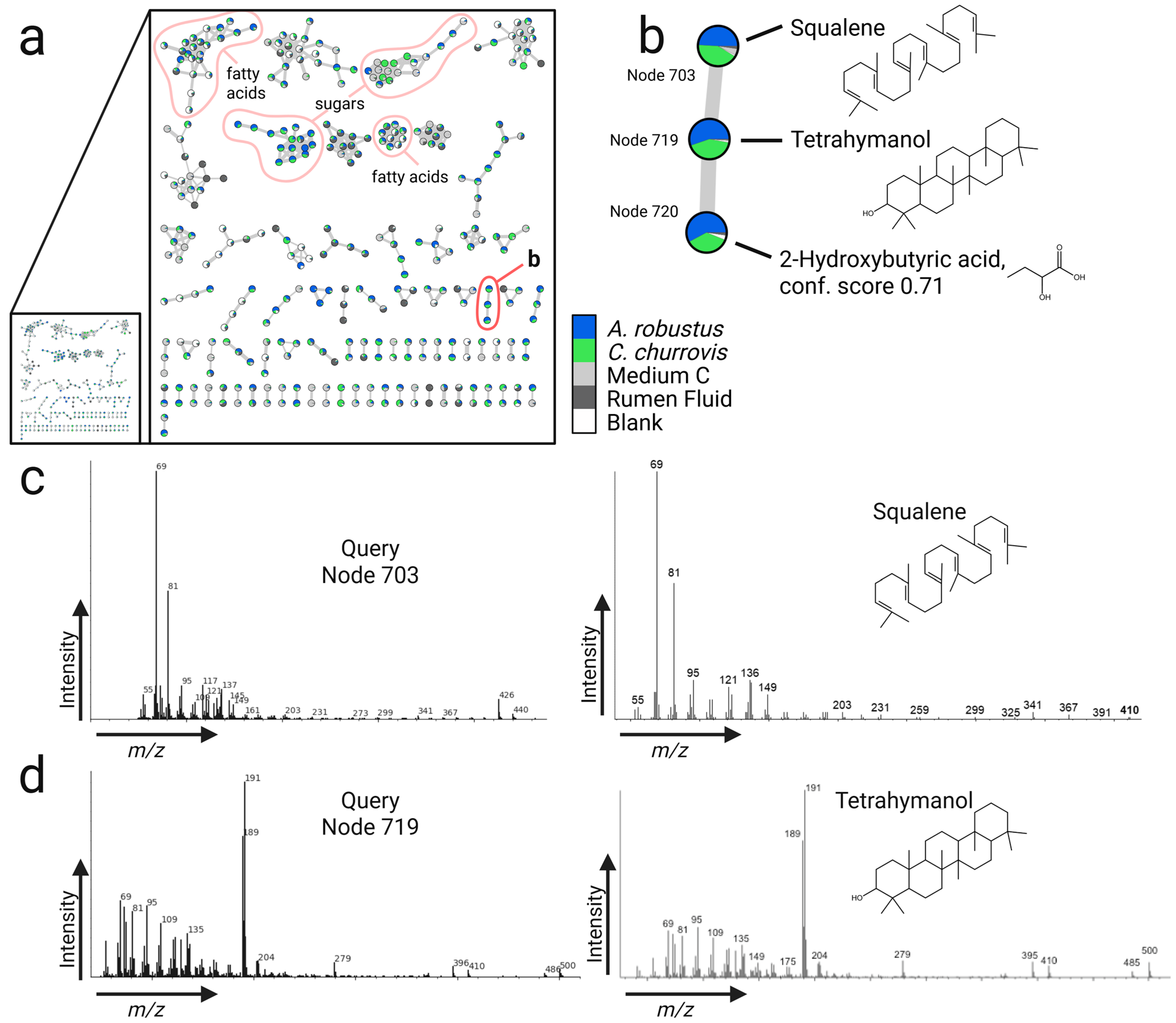 Metabolites 15 00578 g003 Metabolites 15 00578 g003