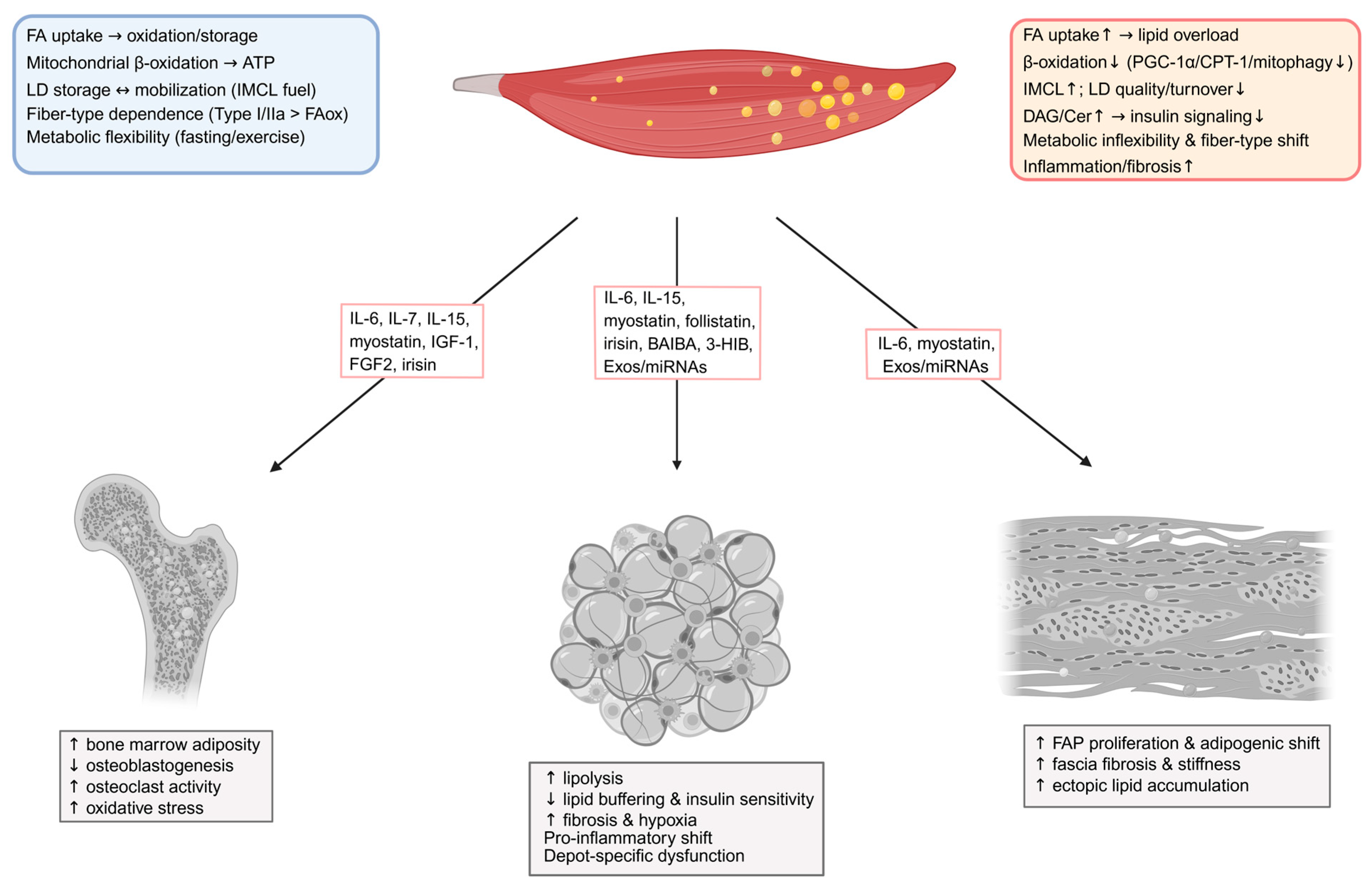 Metabolites 15 00581 g001