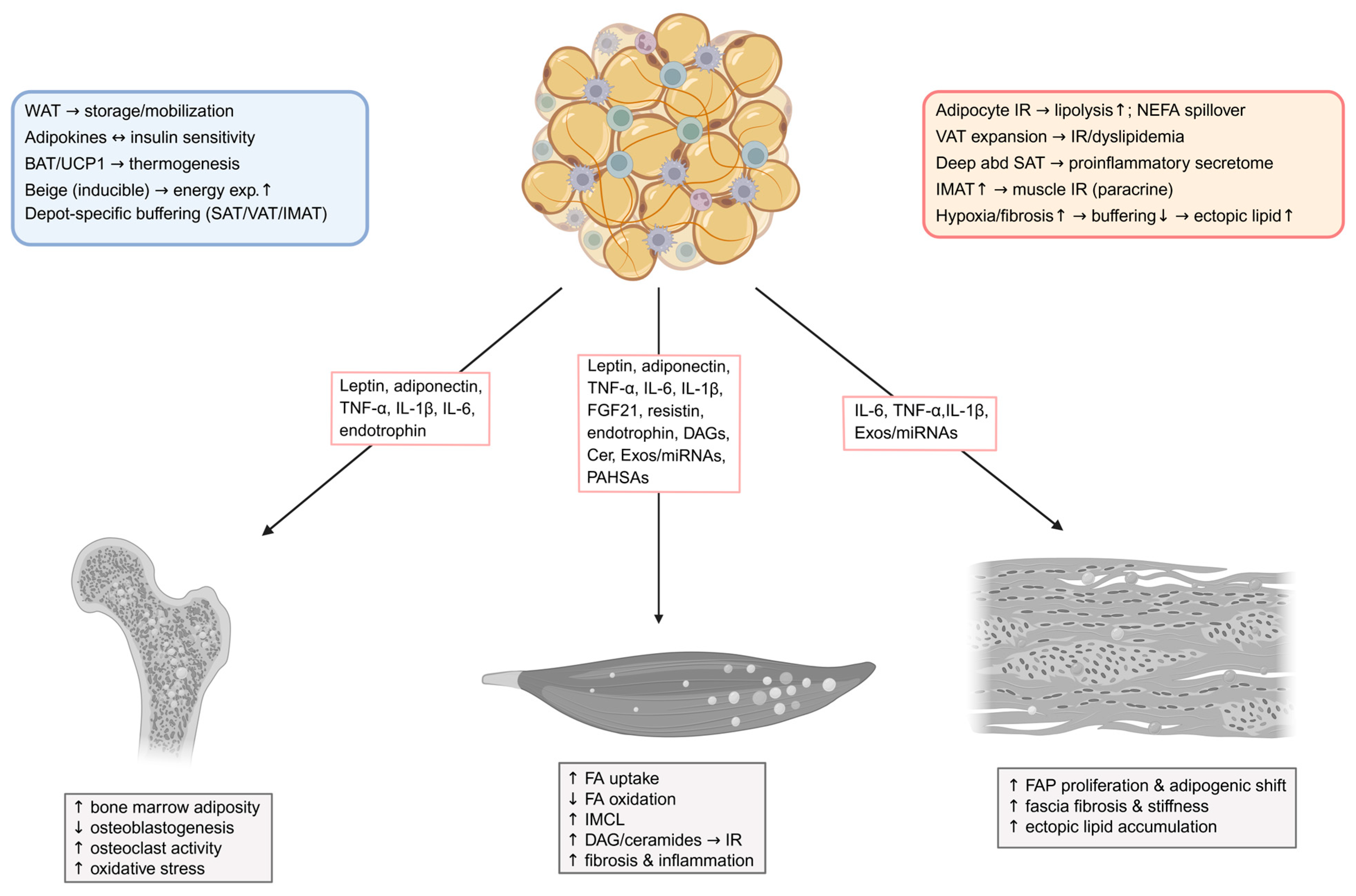 Metabolites 15 00581 g002