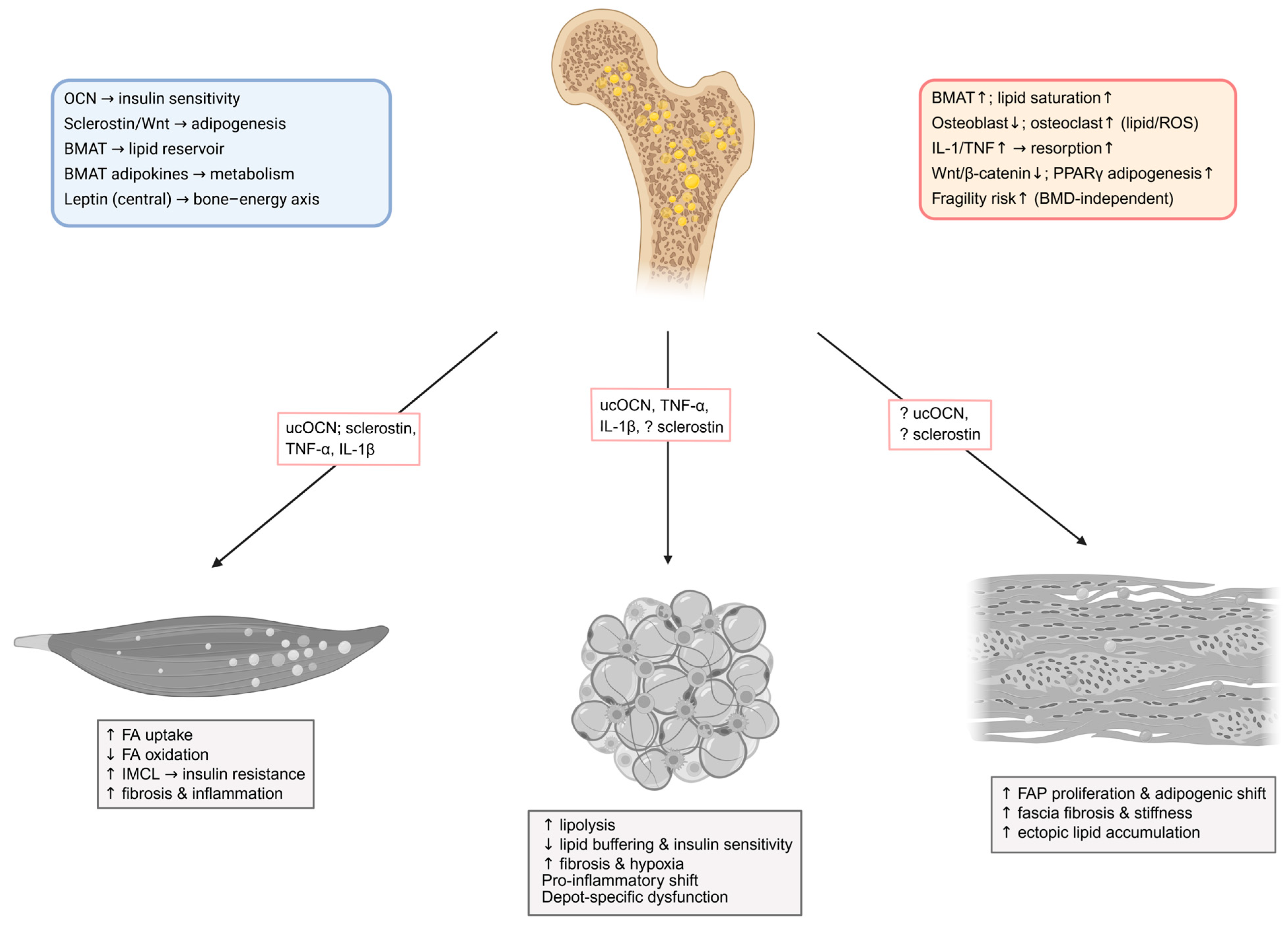 Metabolites 15 00581 g003